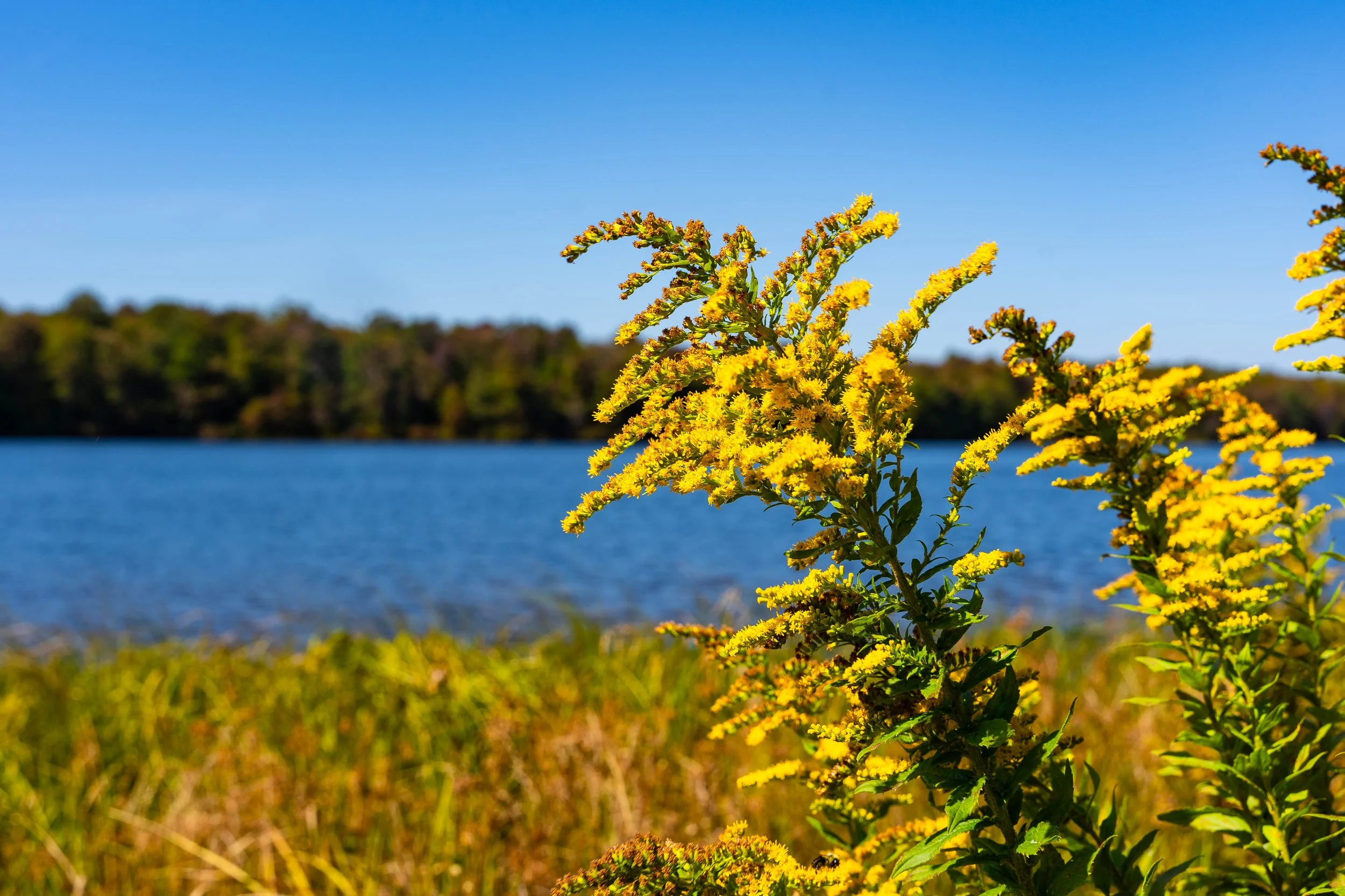Ricketts Glen, PA; September 2023