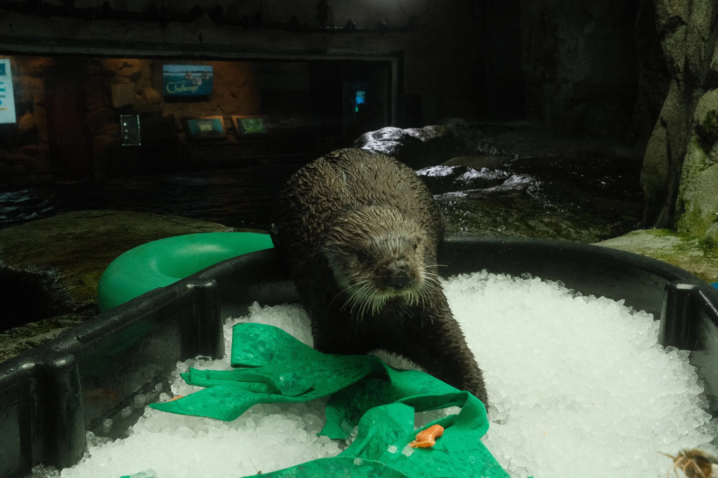 Long Beach, CA; December 2025