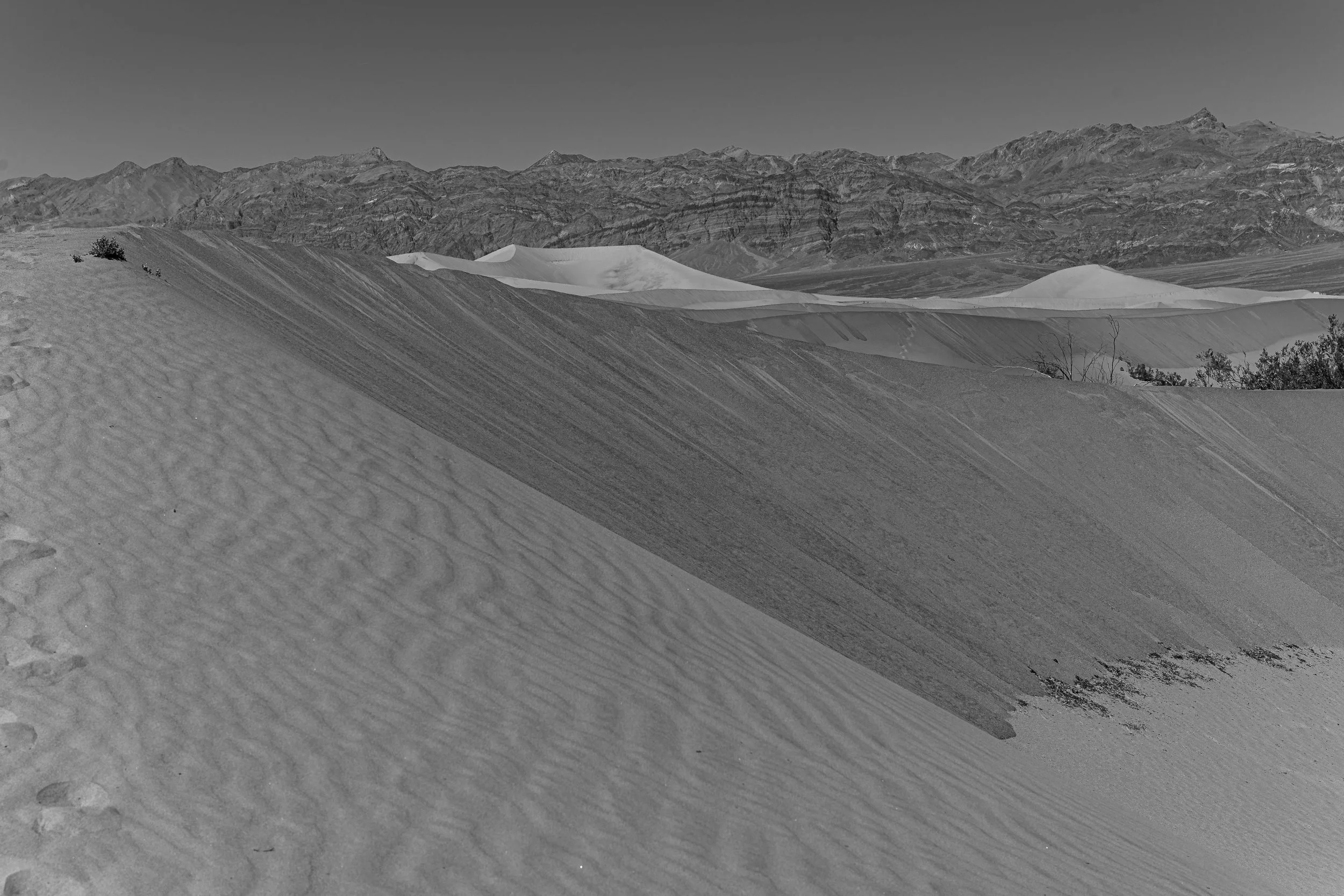 Death Valley, CA: March 2022