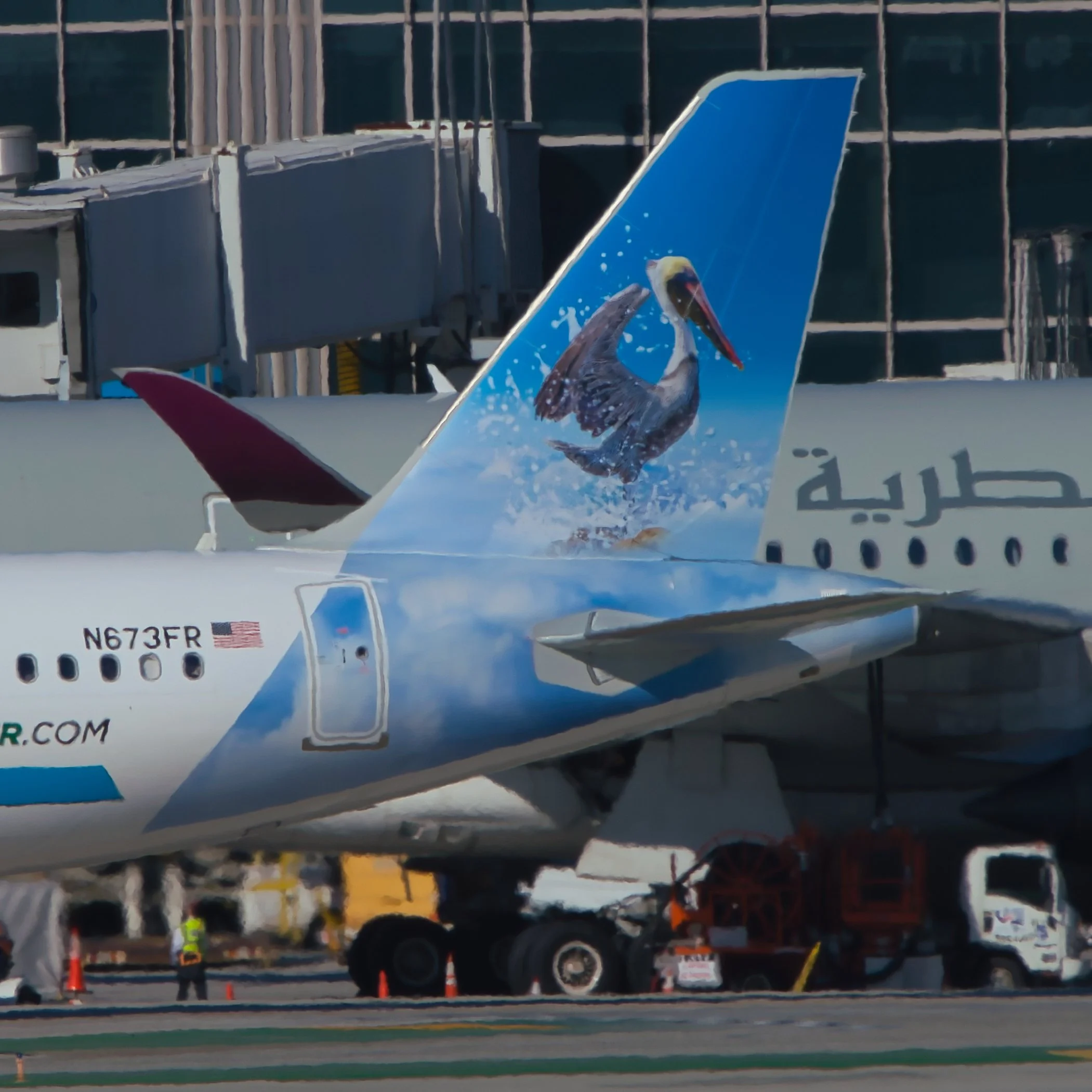 Frontier Airlines Airbus A321neo "Martaan the Brown Pelican"