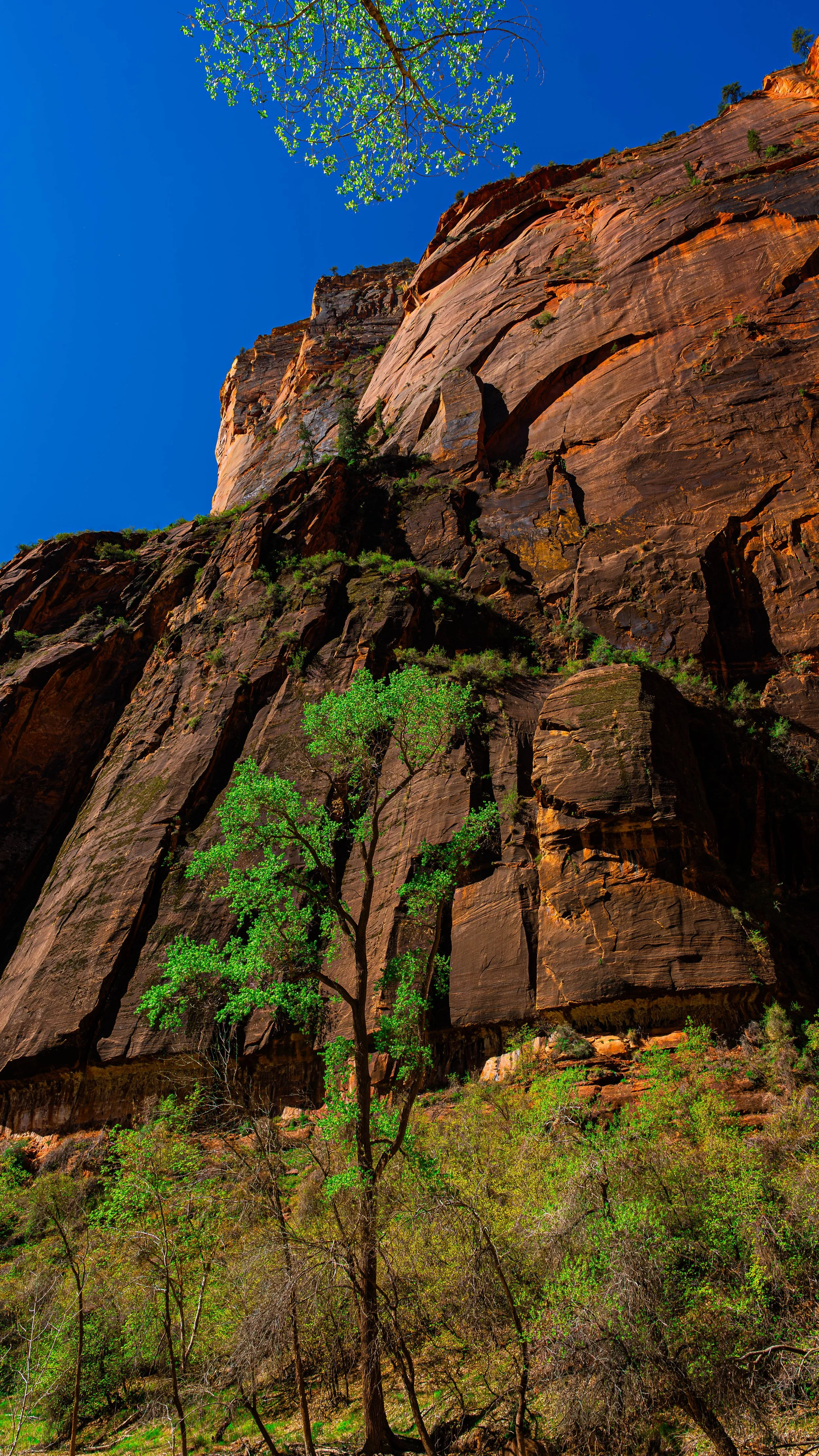 Zion National Park, UT; April 2024