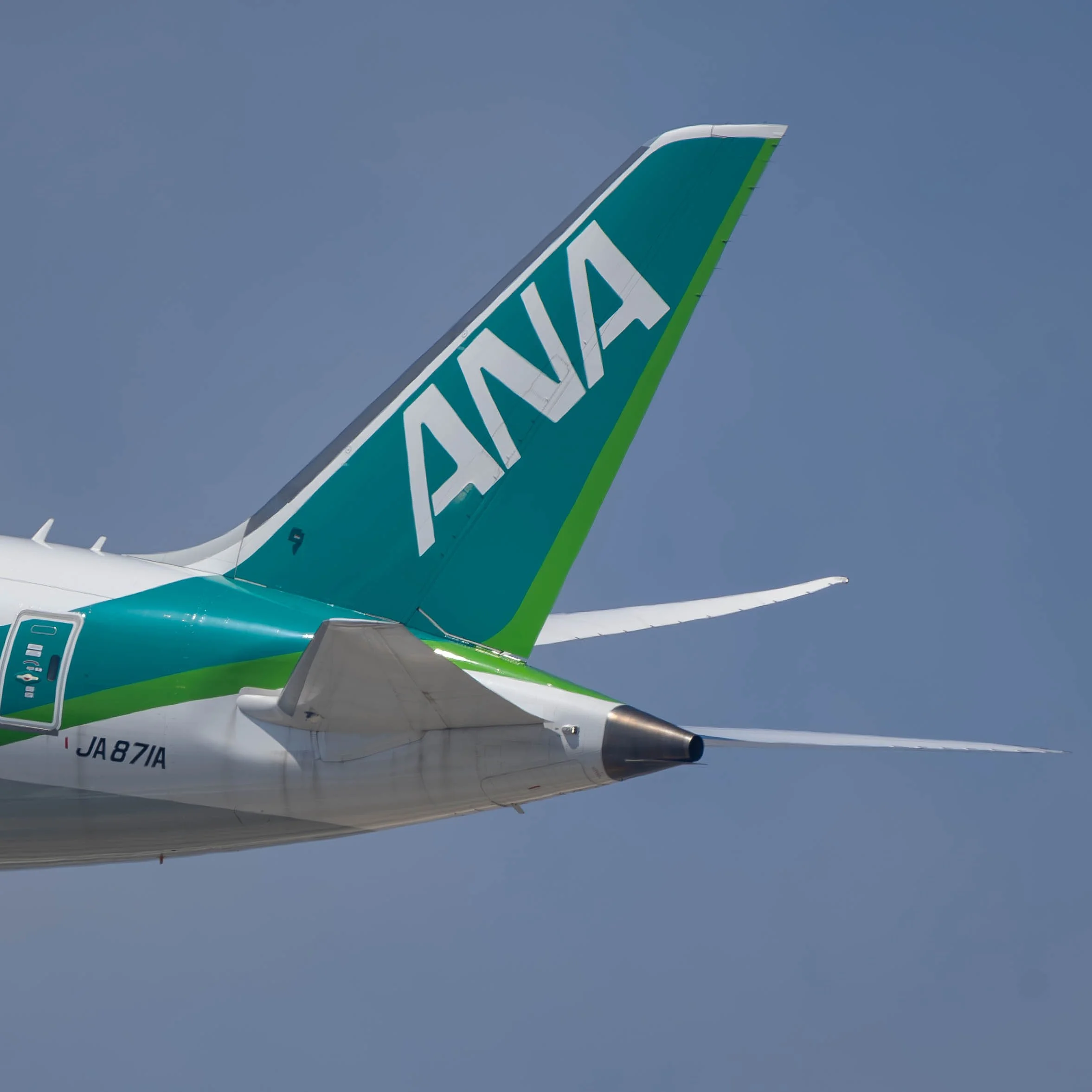 All Nippon Airways Boeing 787-9 "Future Promise" Livery