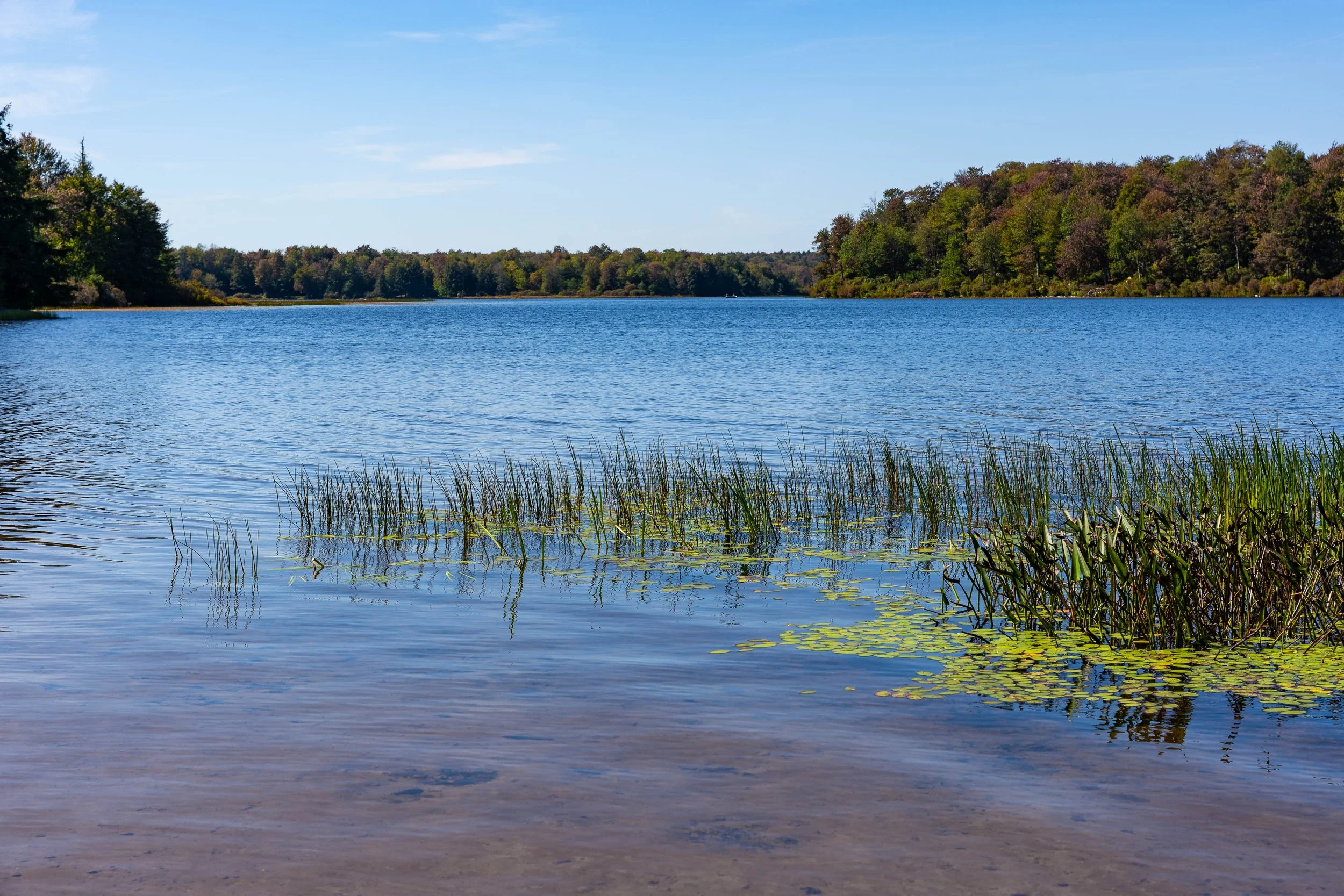 Ricketts Glen, PA; September 2023