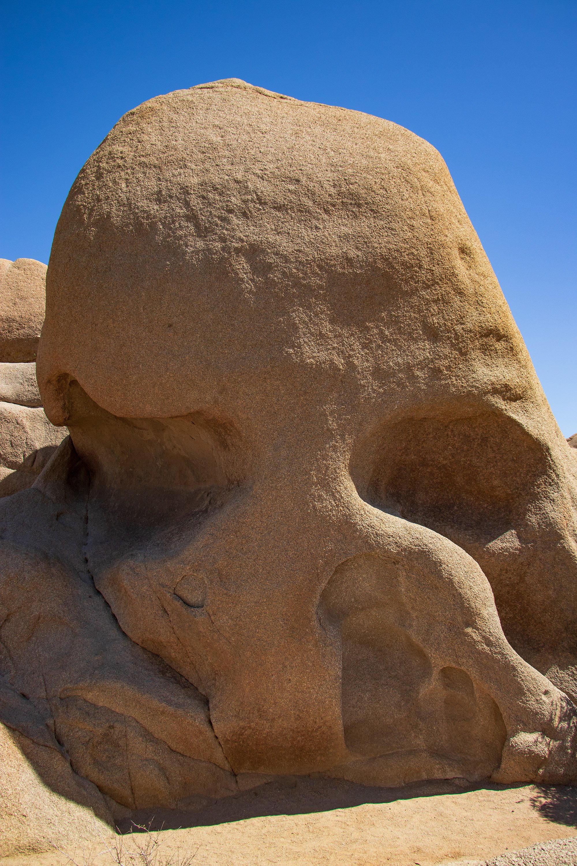 Joshua Tree, CA; April 2018