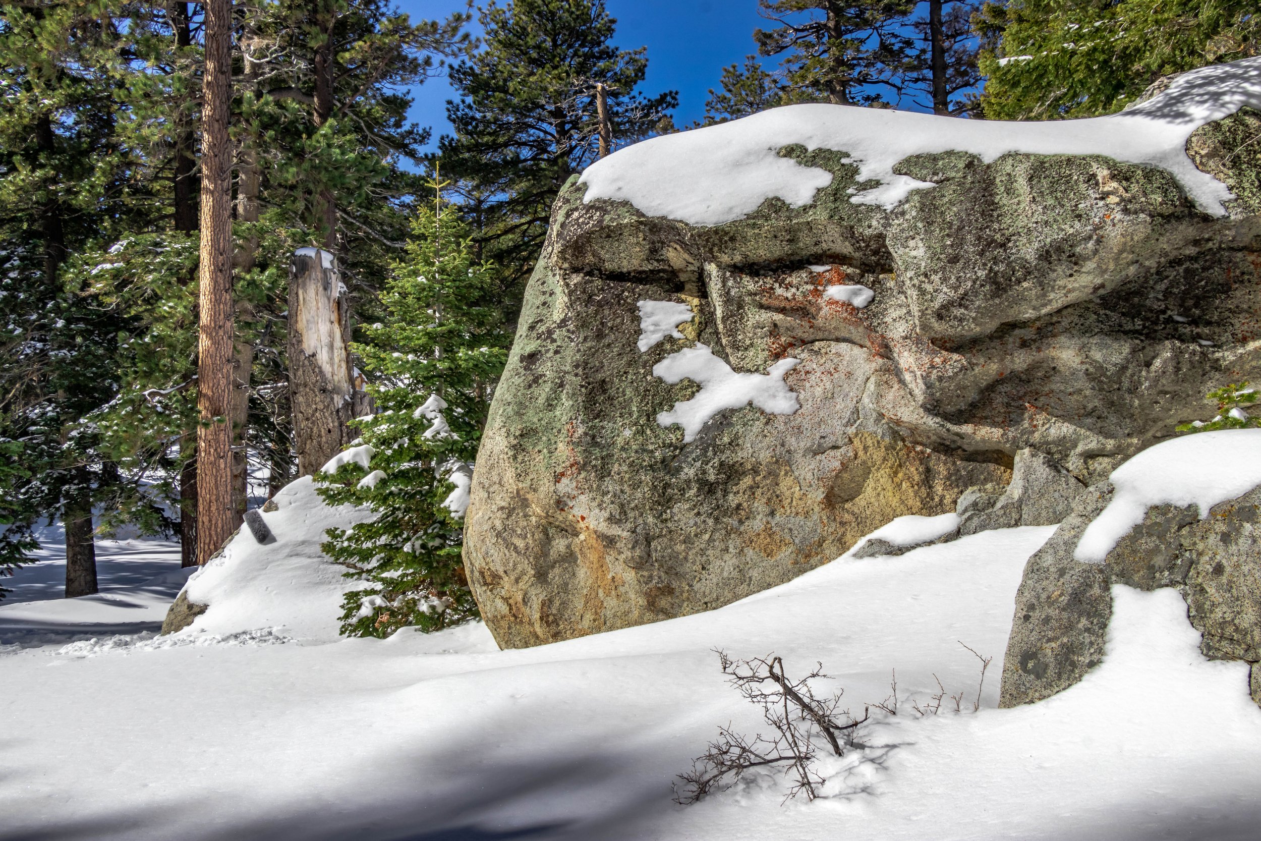 Mt. San Jacinto, CA; February 2019