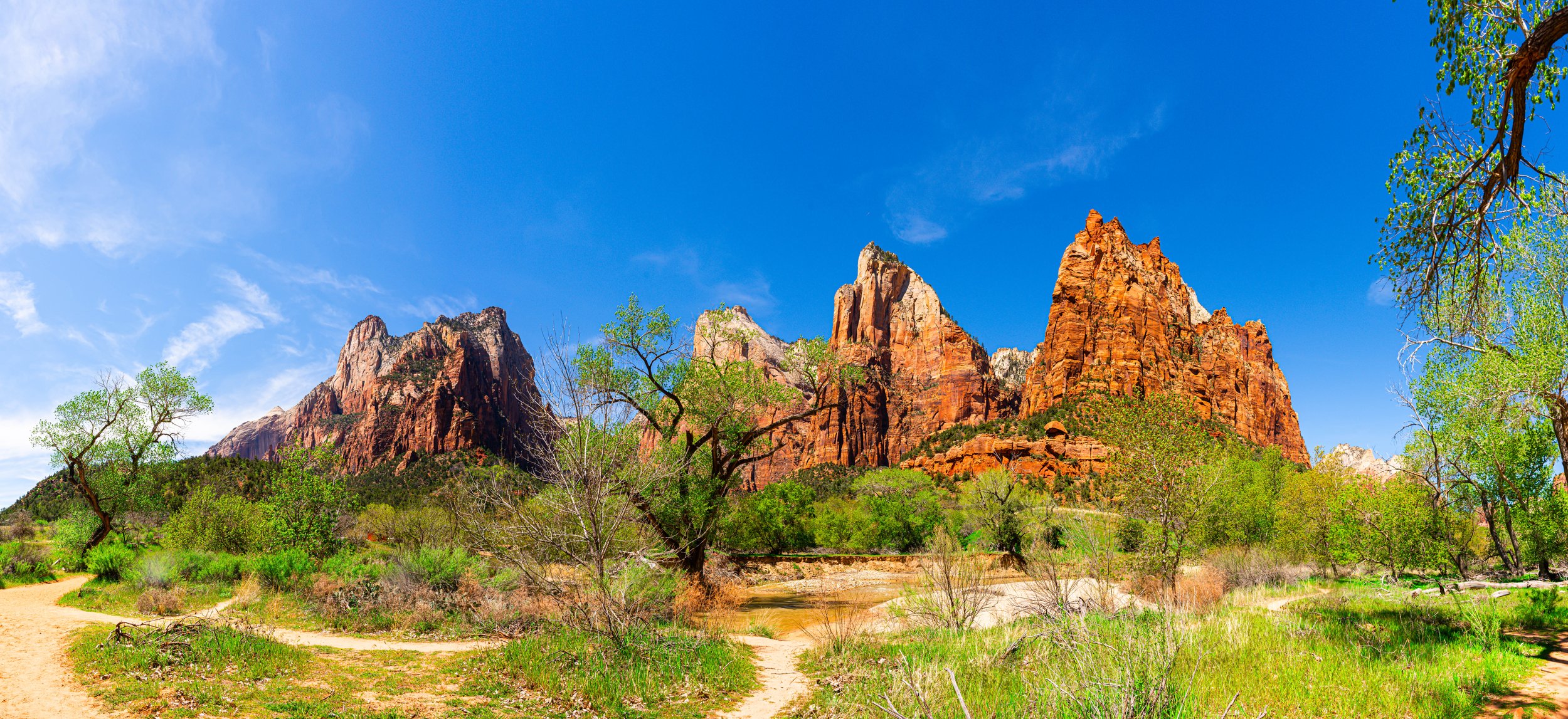 Zion National Park, UT; April 2024