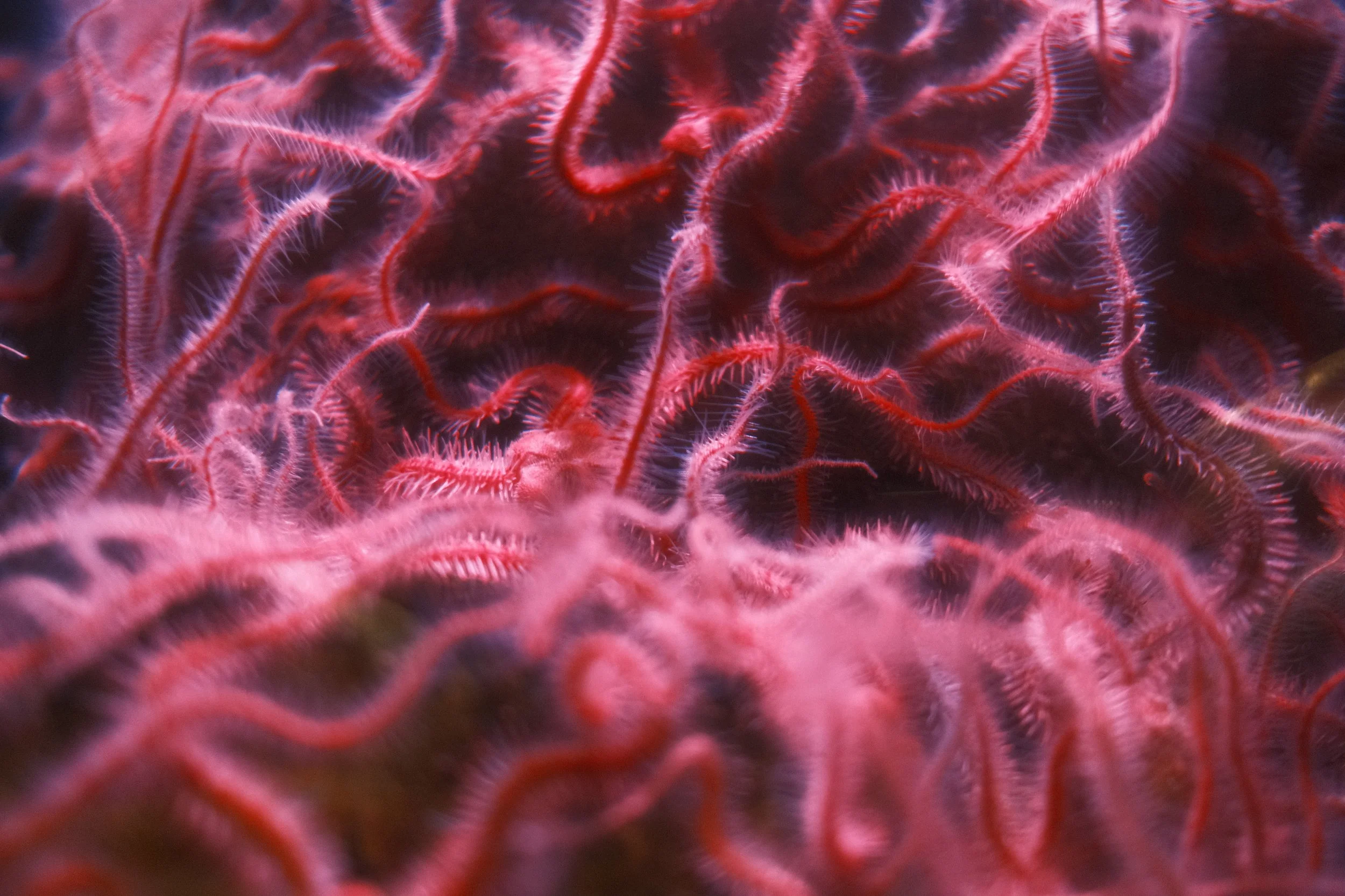 Long Beach, CA; December 2025