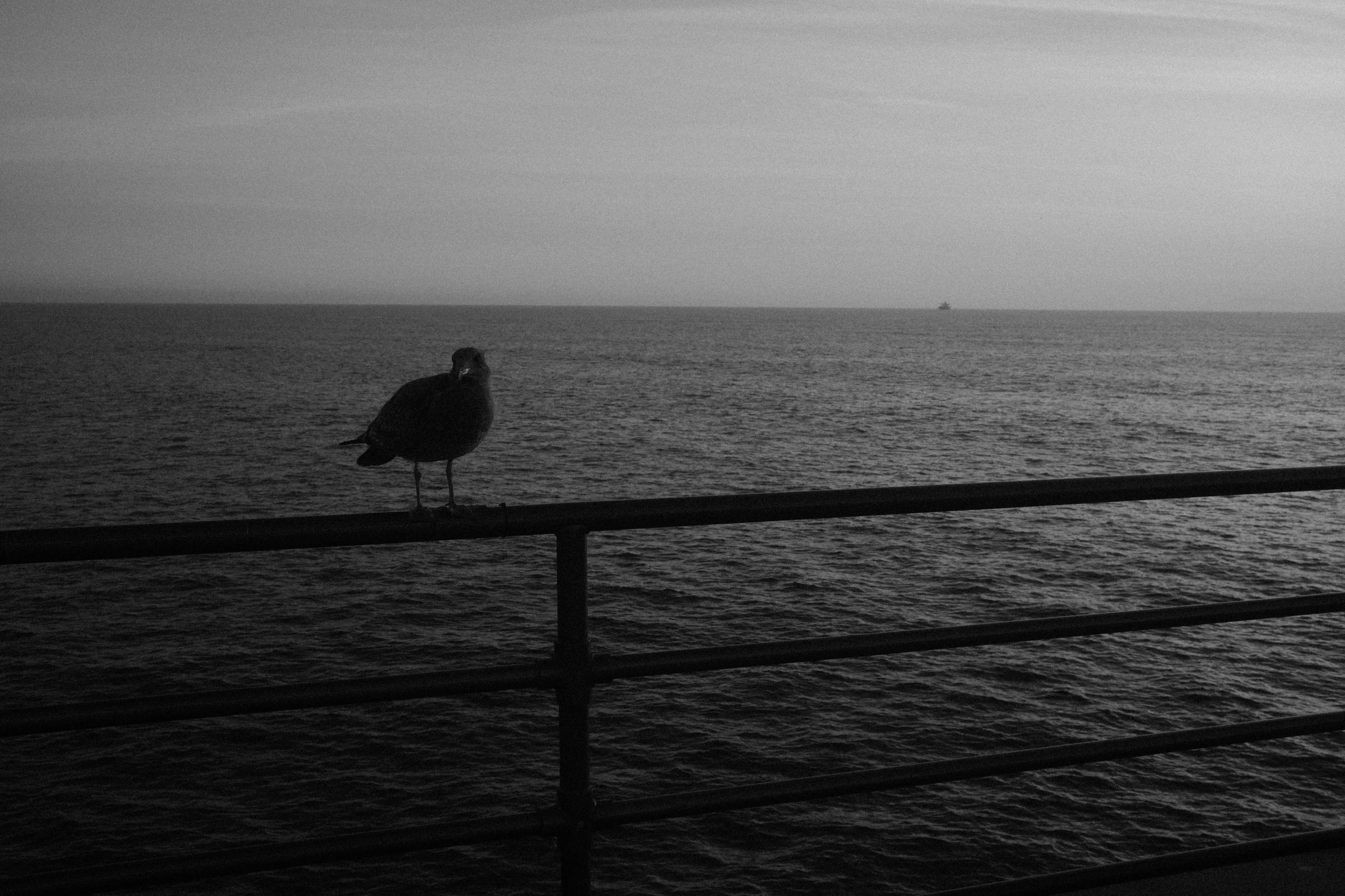 Huntington Beach, CA; December 2025