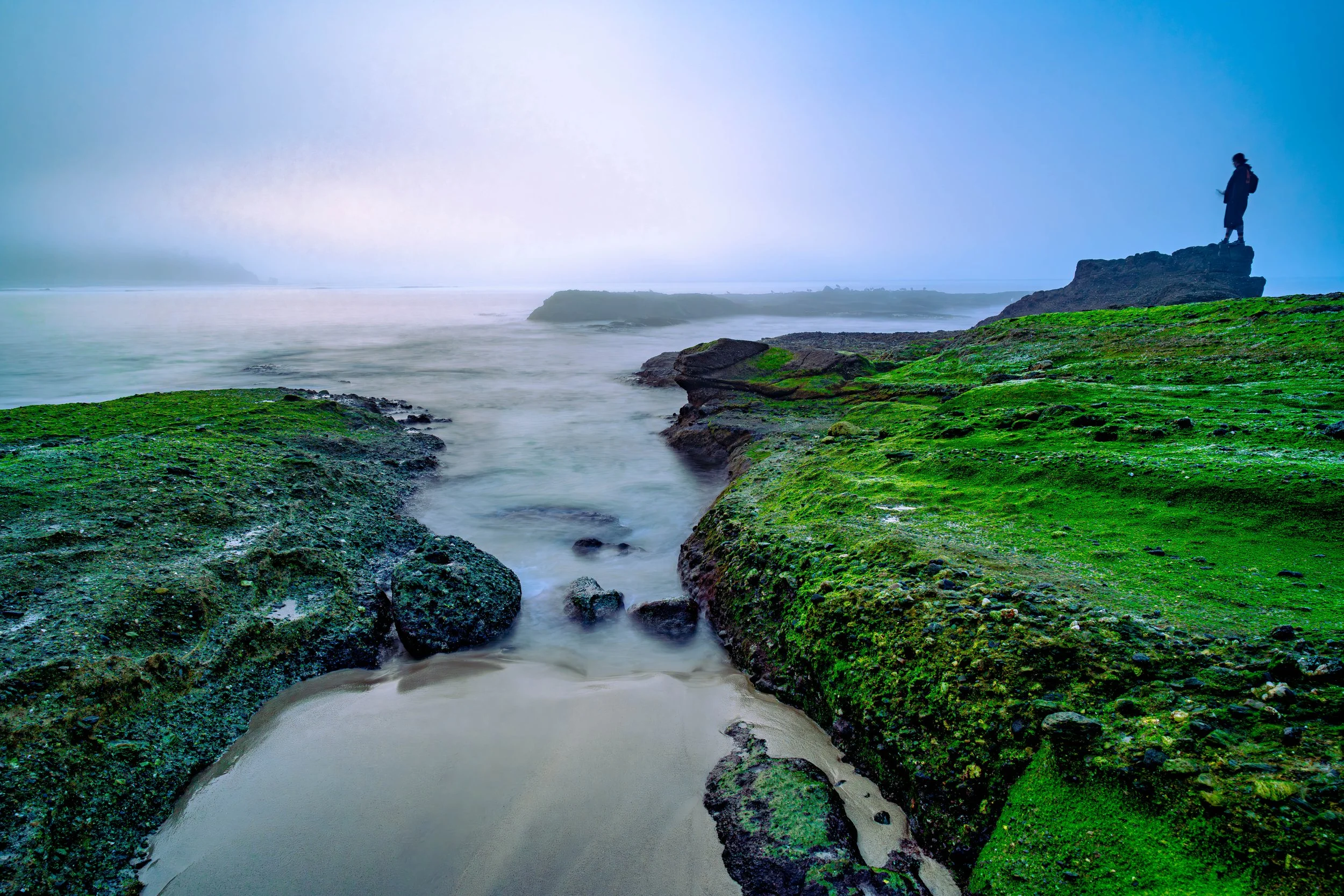 Laguna Beach, CA; February 2025