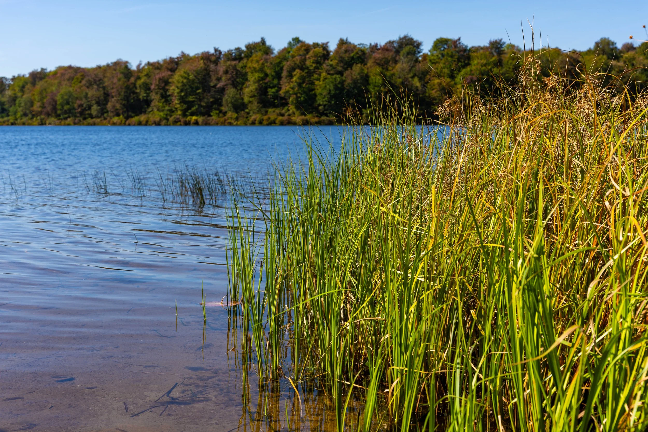 Ricketts Glen, PA; September 2023