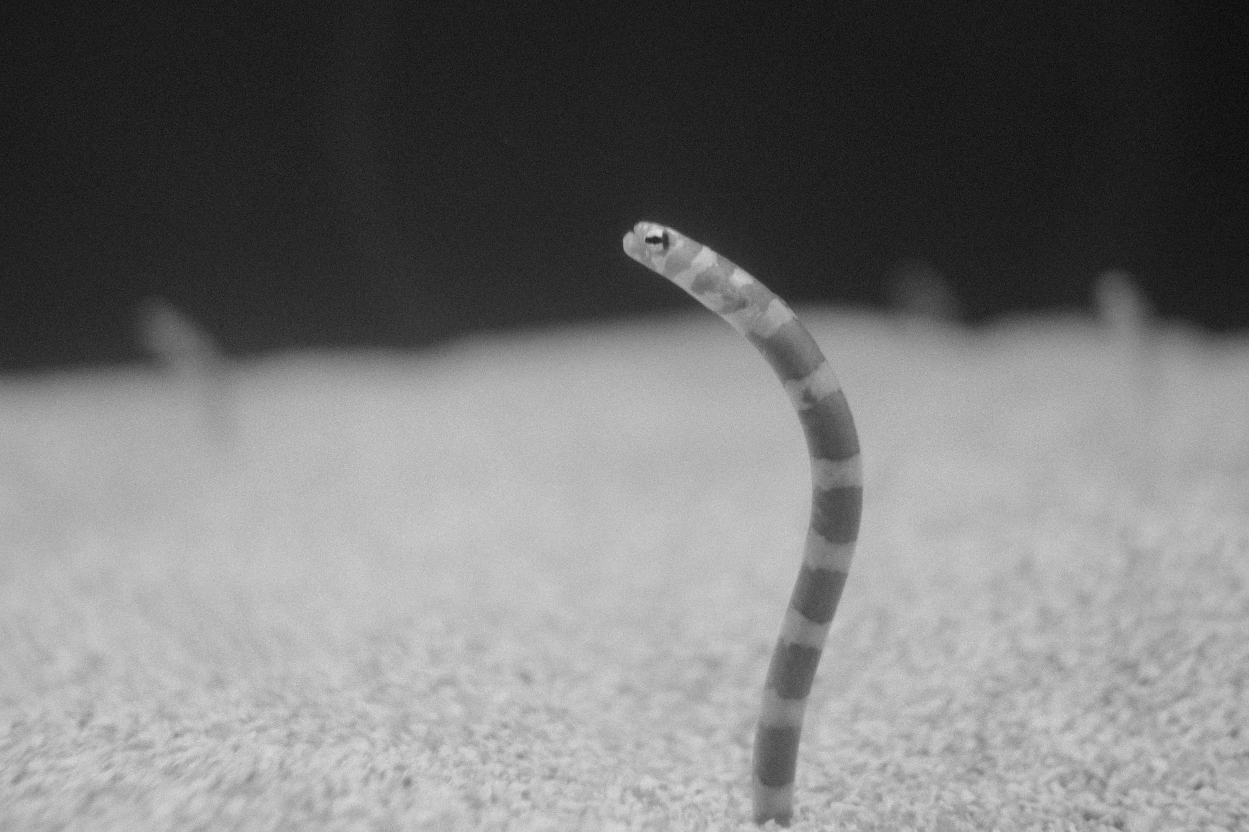 Long Beach, CA; November 2025