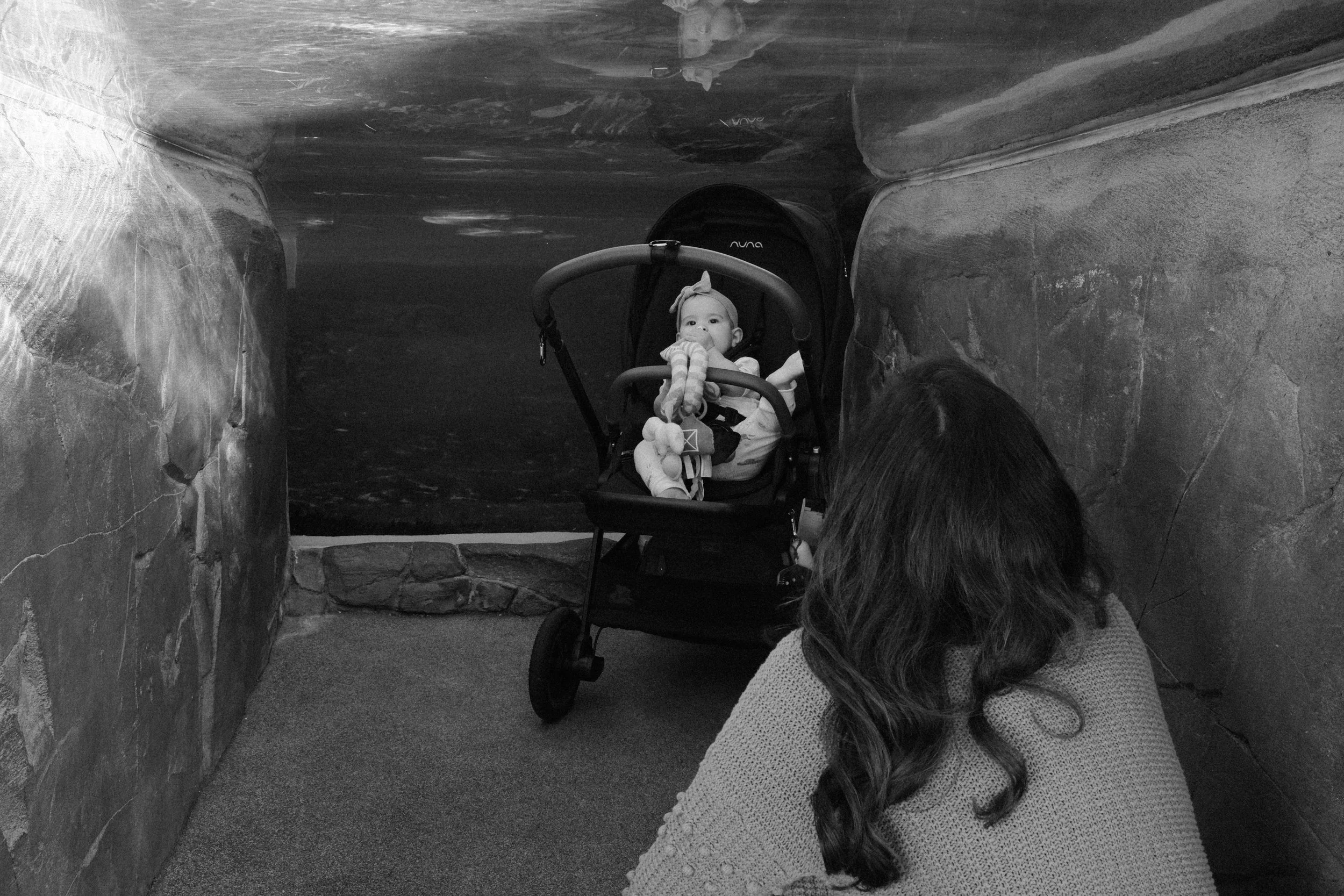 Long Beach, CA; November 2025