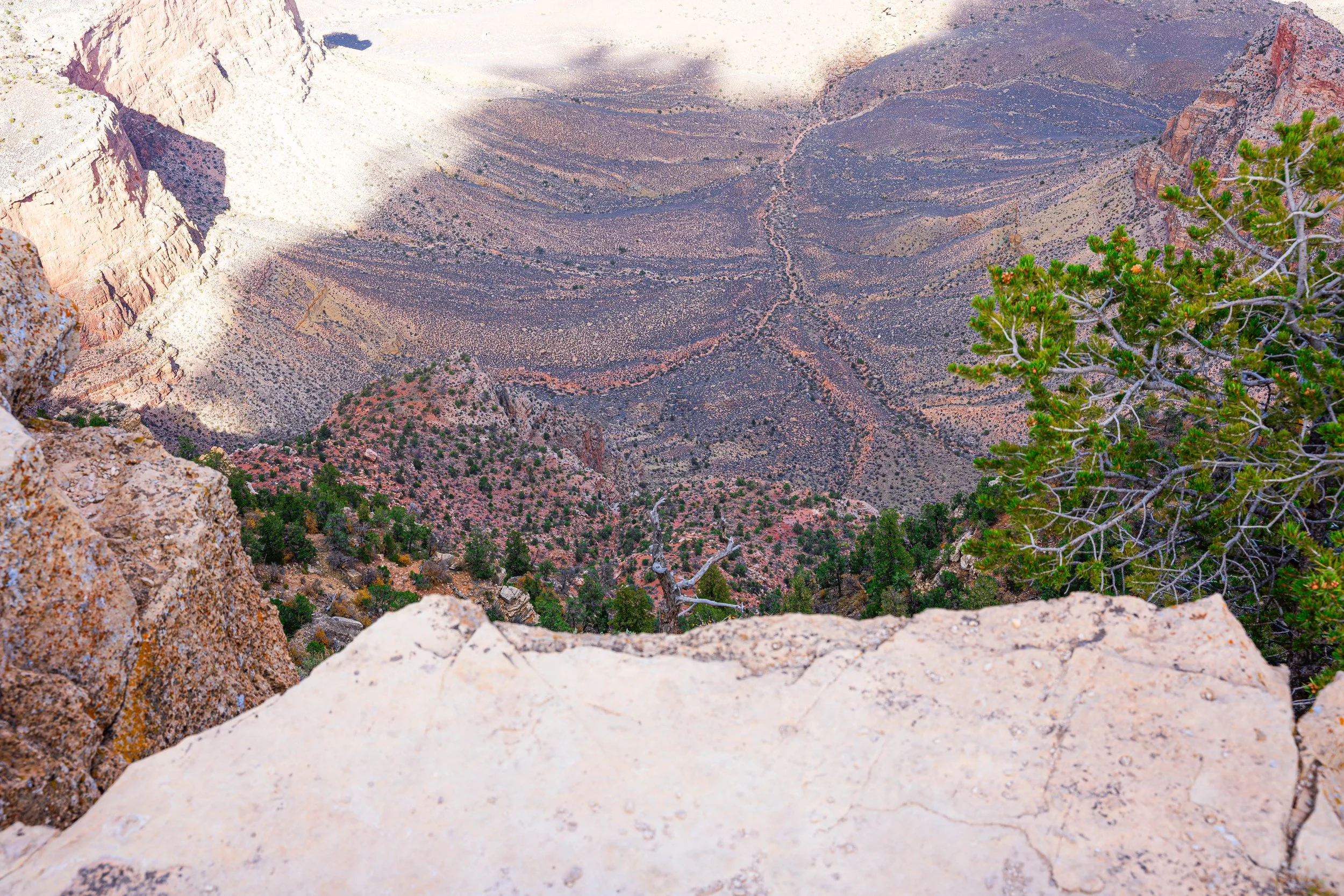 Grand Canyon, AZ; October 2024
