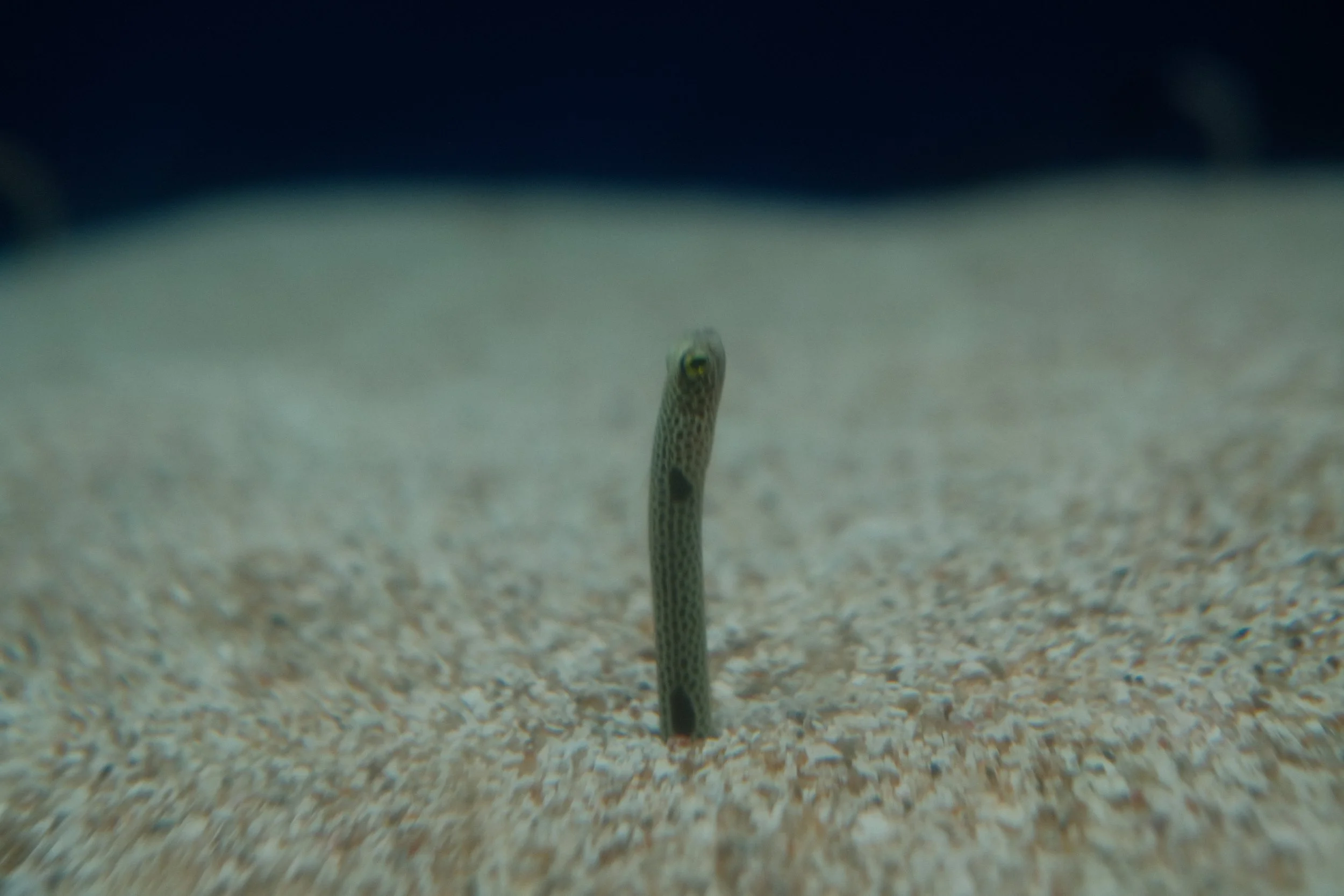 Long Beach, CA; December 2025