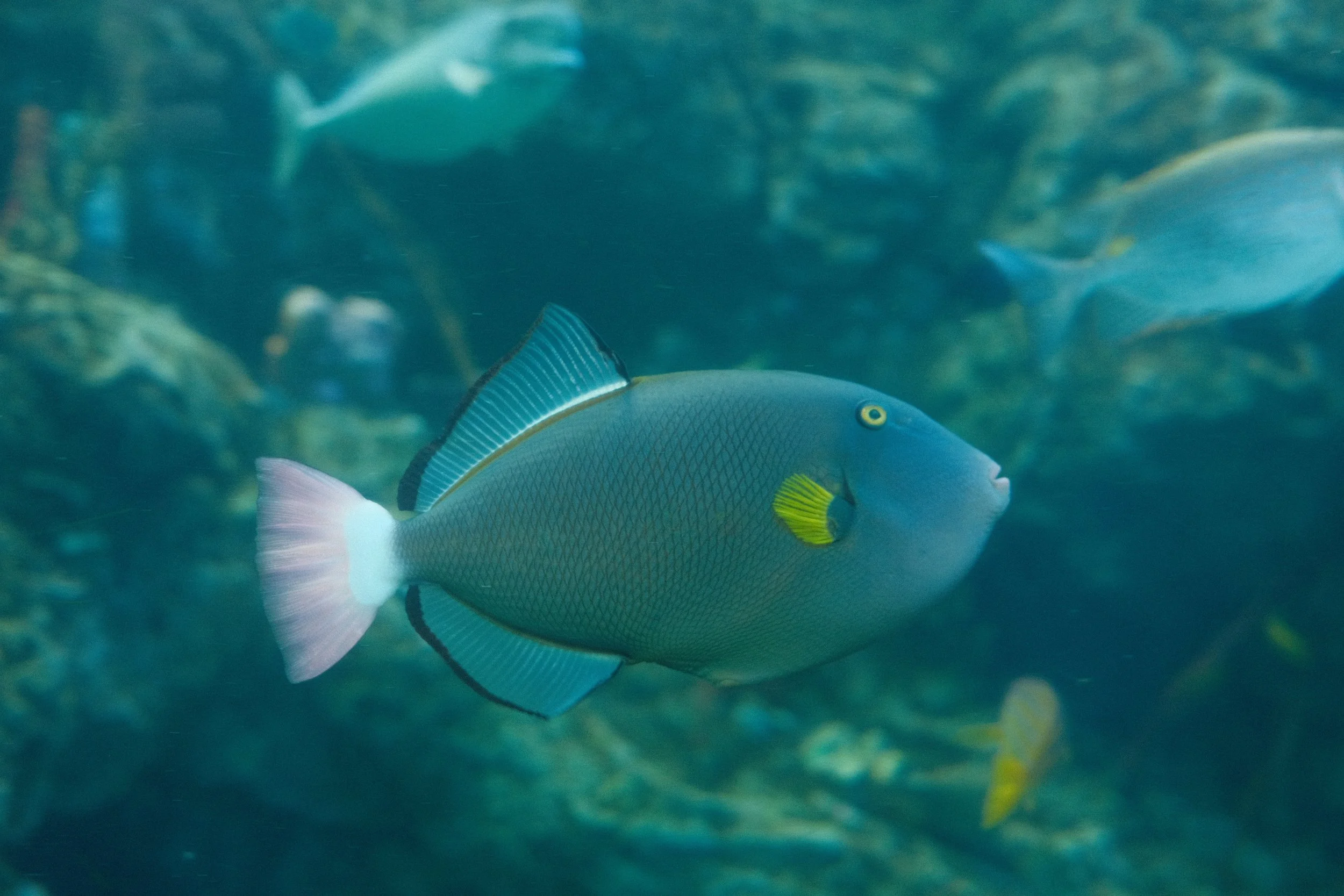 Long Beach, CA; December 2025