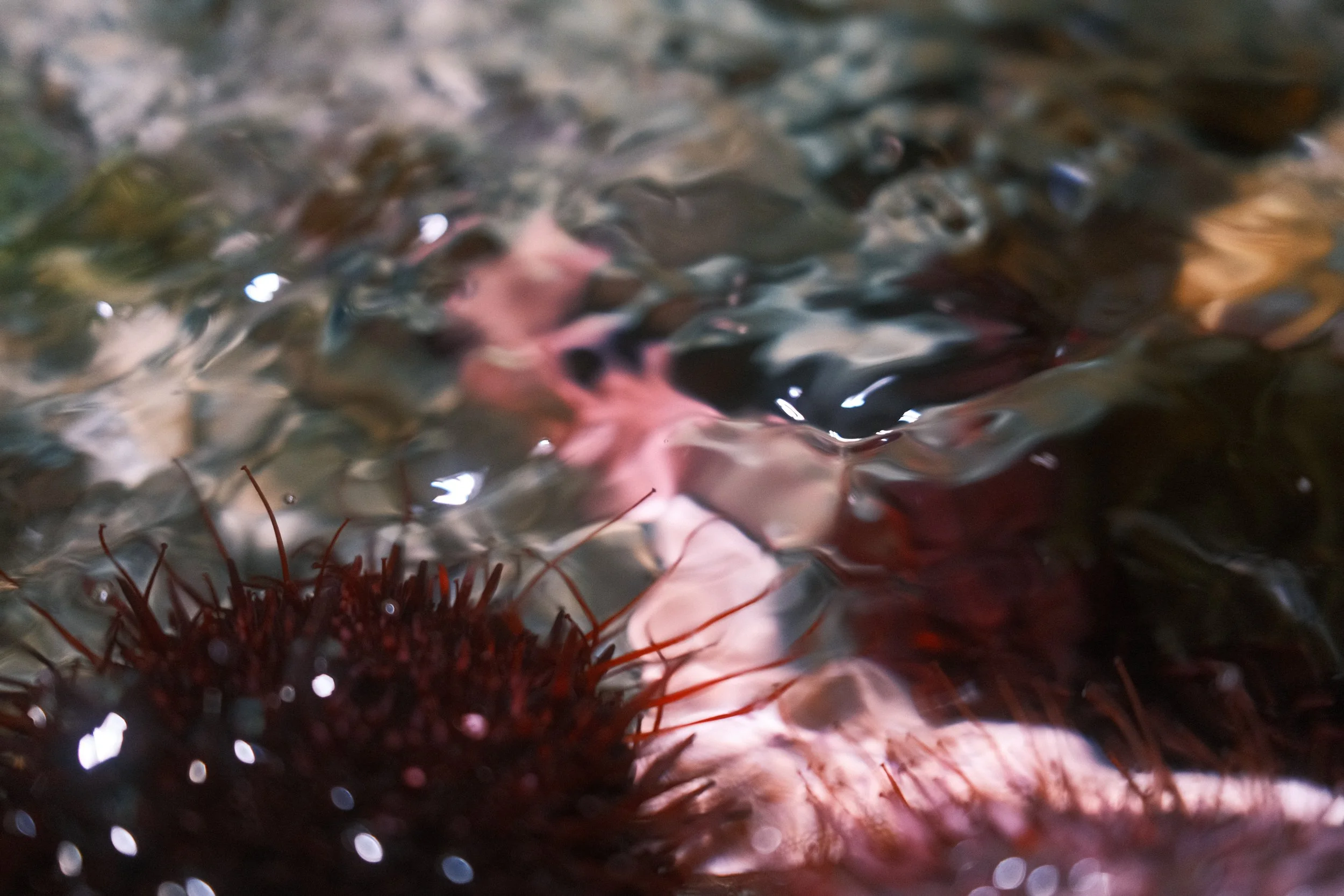 Long Beach, CA; December 2025