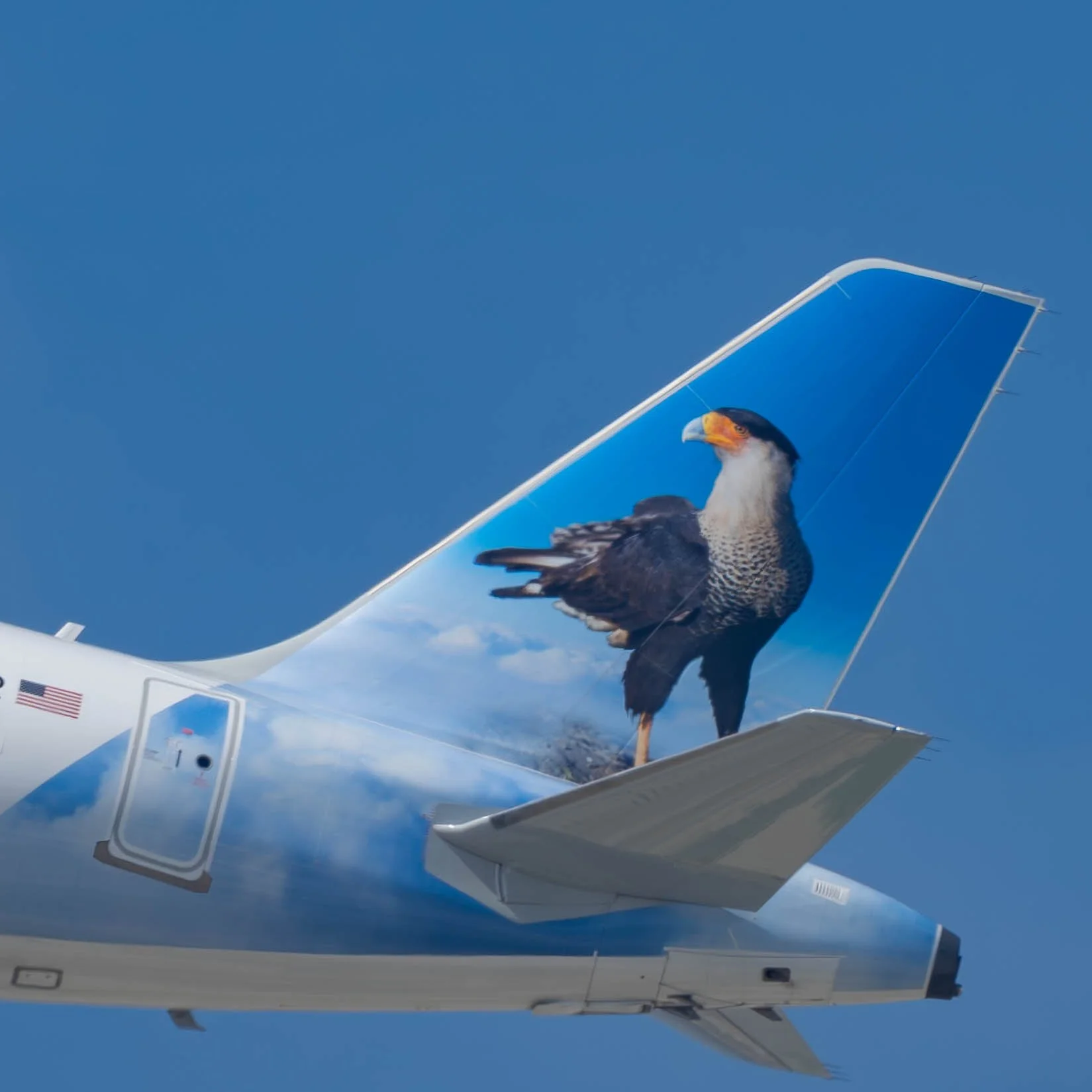 Frontier Airlines Airbus A321 "Morrison the Crested Caracara"