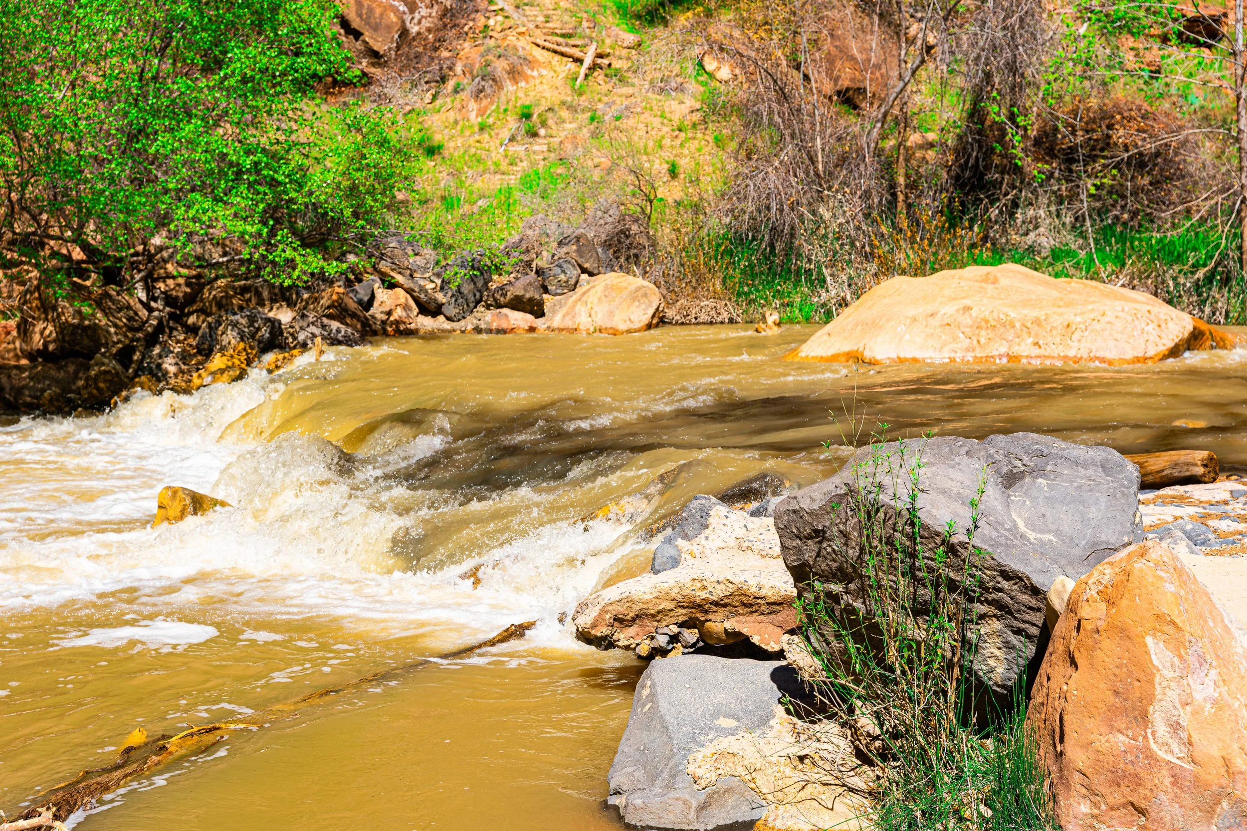 Zion National Park, UT; April 2024