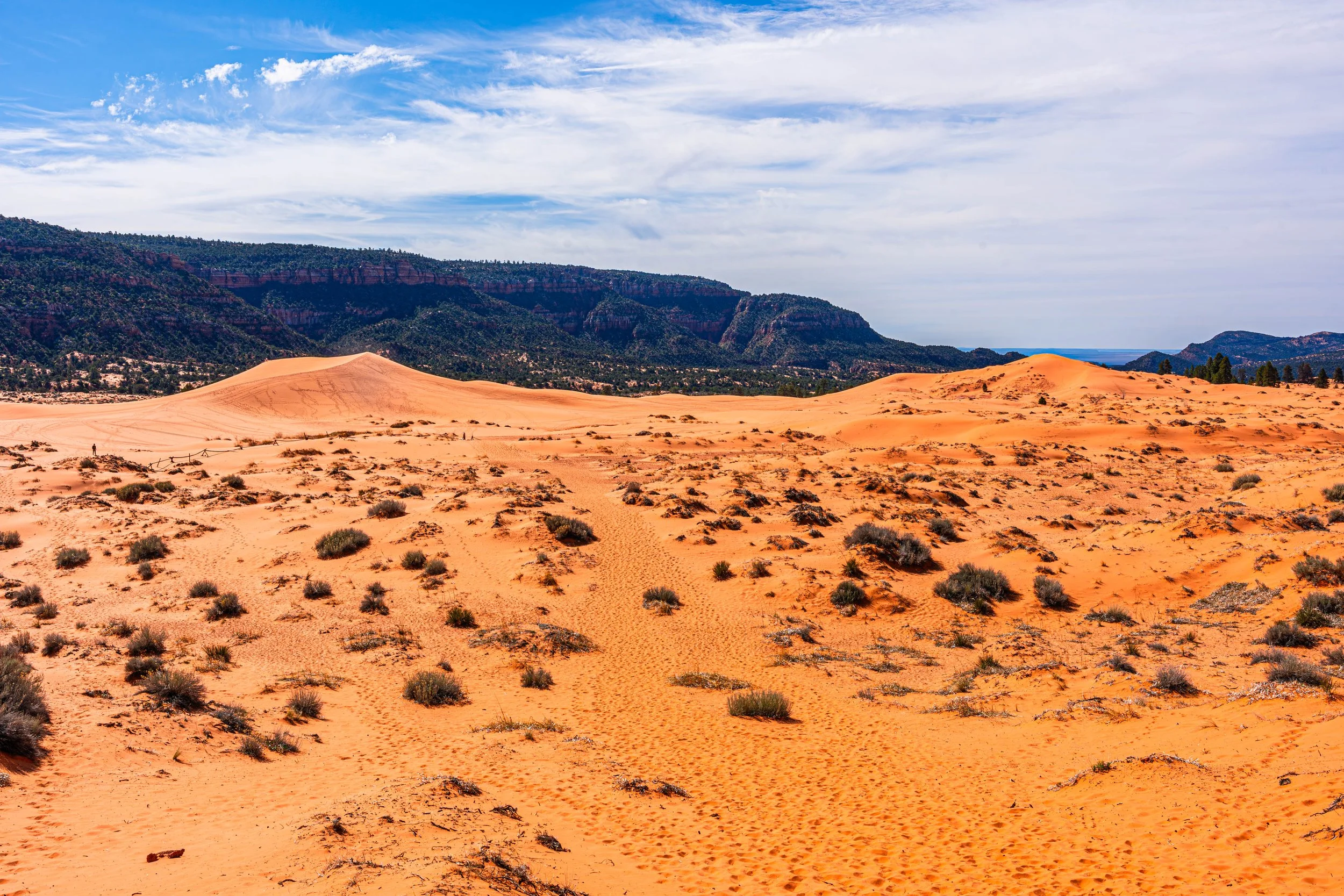 Kanab, UT; April 2024