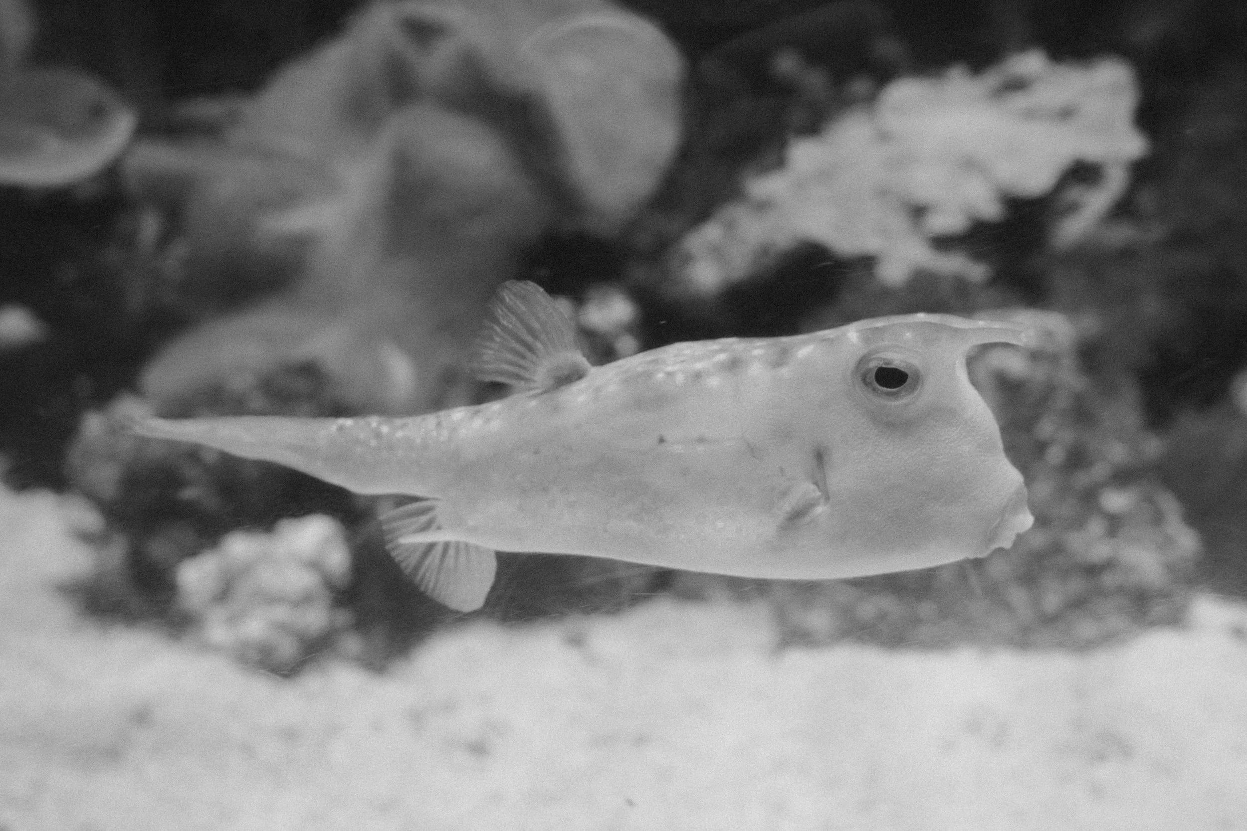 Long Beach, CA; November 2025