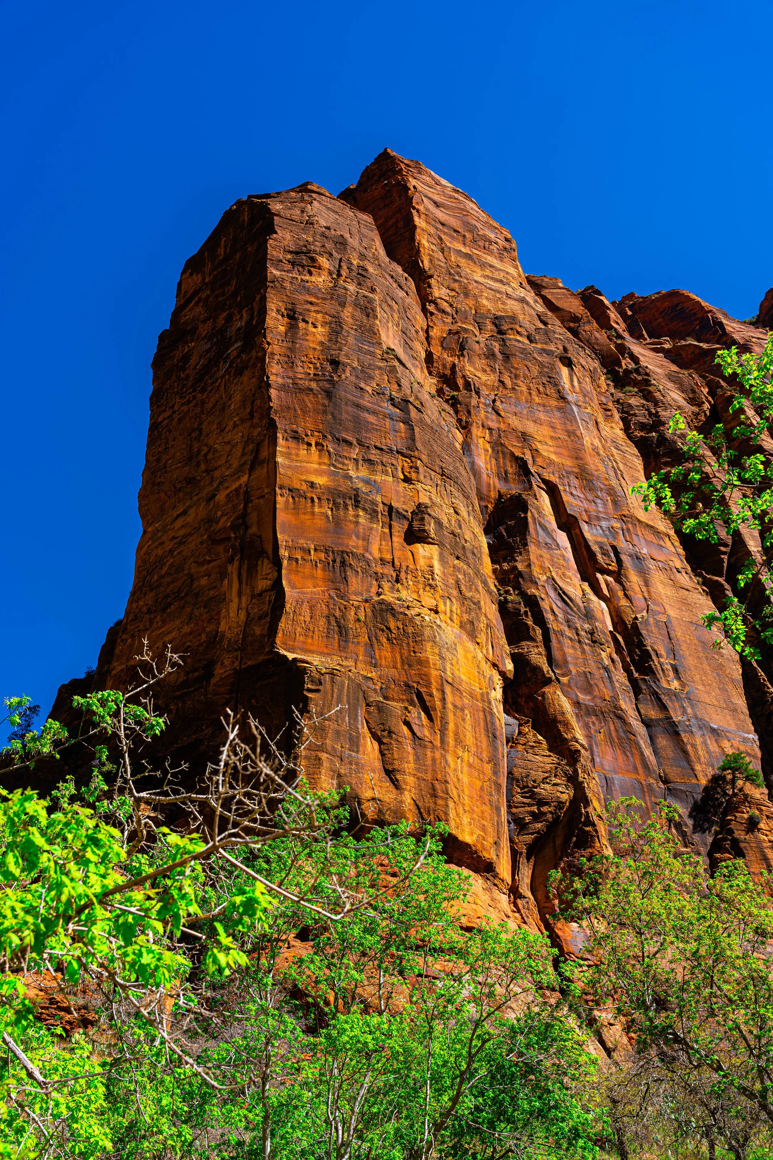 Zion National Park, UT; April 2024