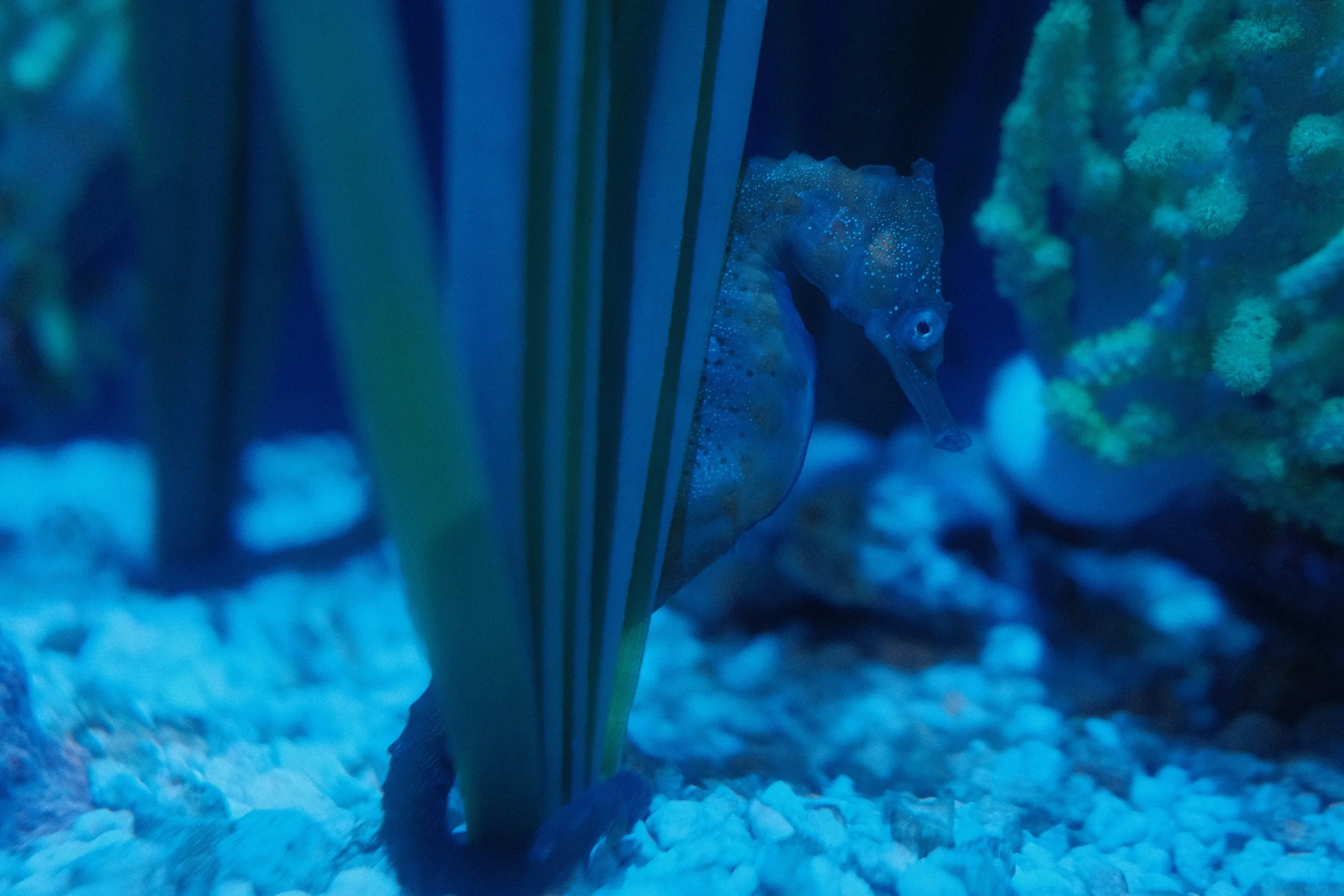 Long Beach, CA; December 2025