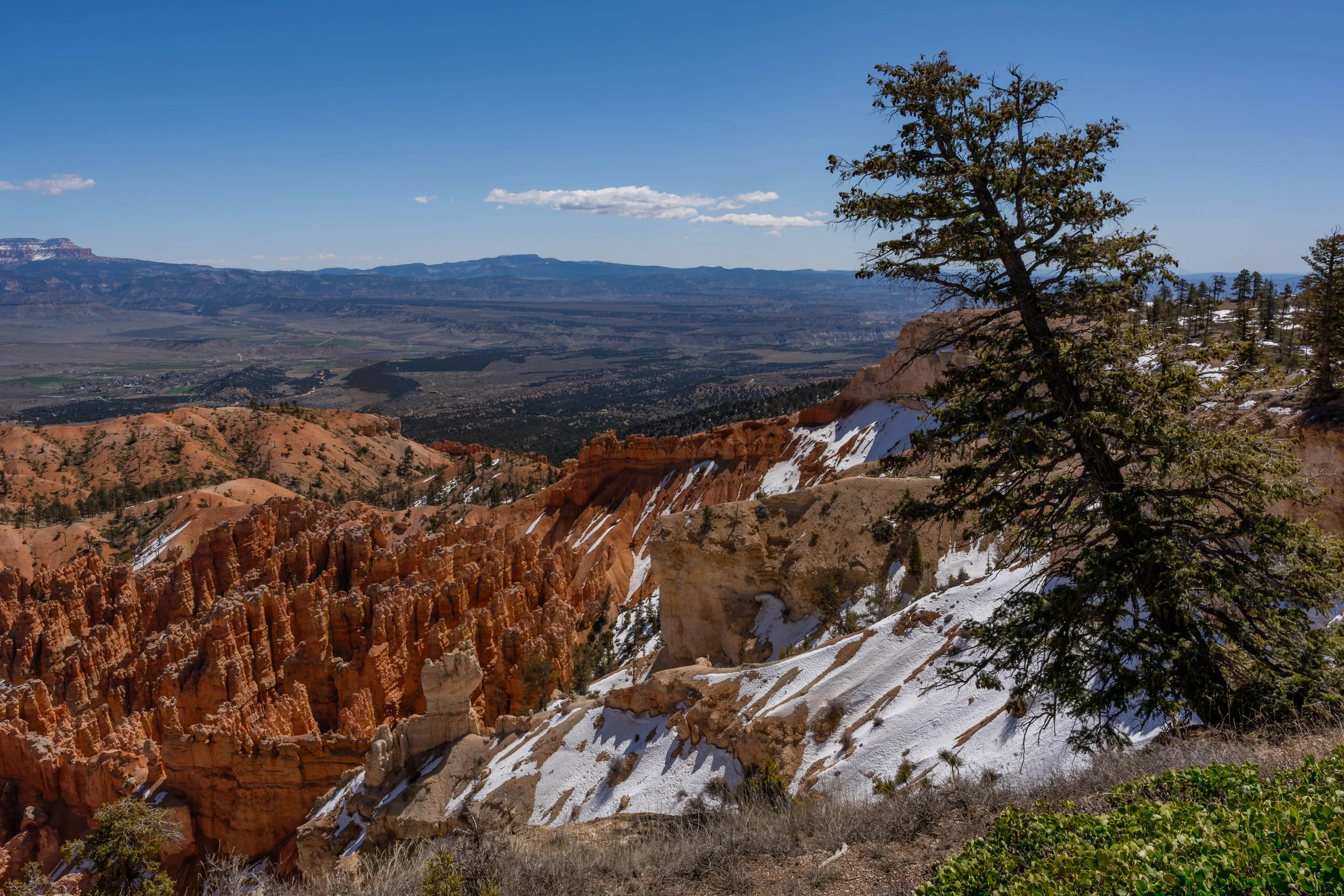 Bryce Canyon, UT; April 2024