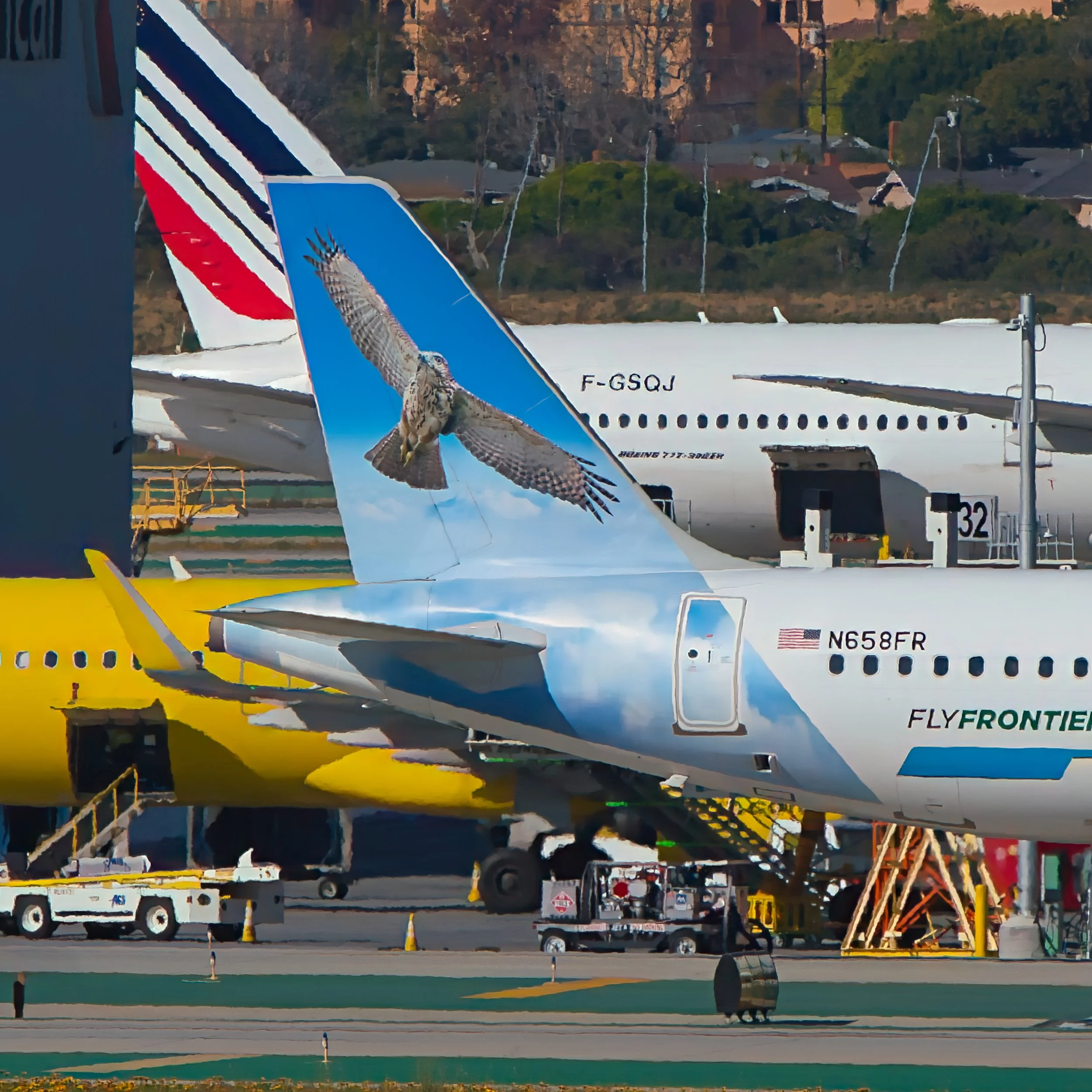 Frontier Airlines Airbus A321neo "Brazos the Ridgway's Hawk"