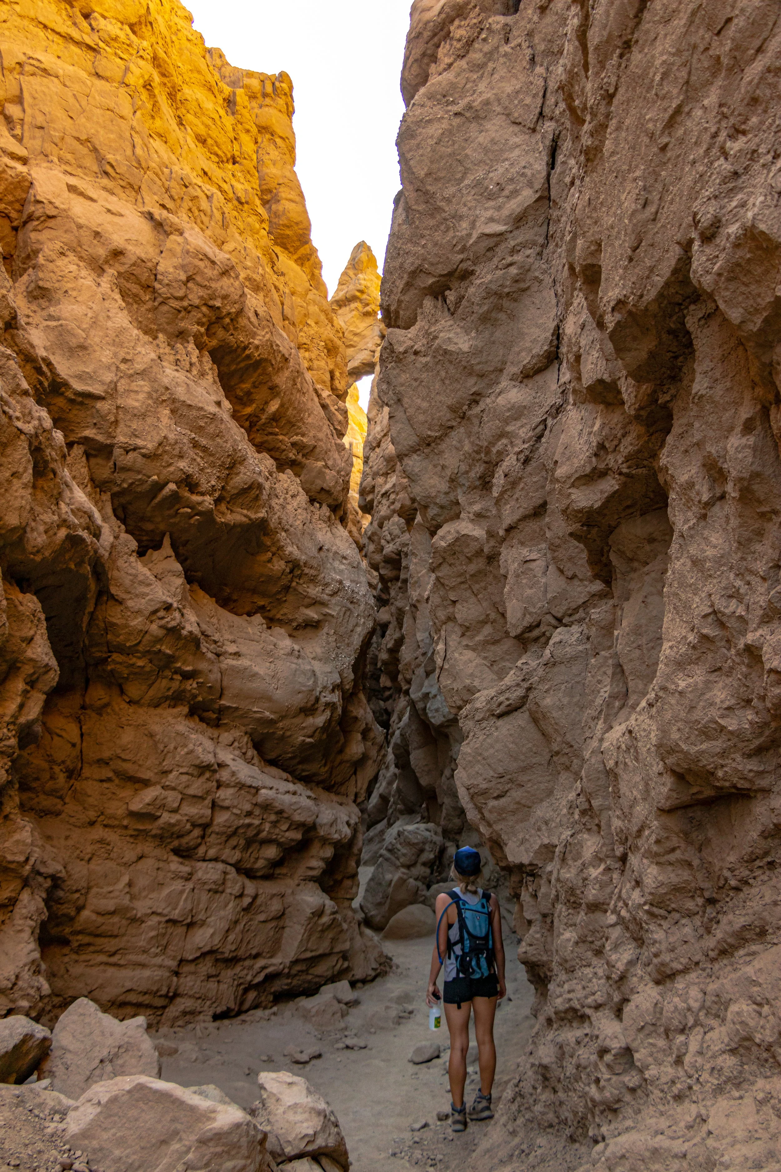 Anza-Borrego, CA; November 2019