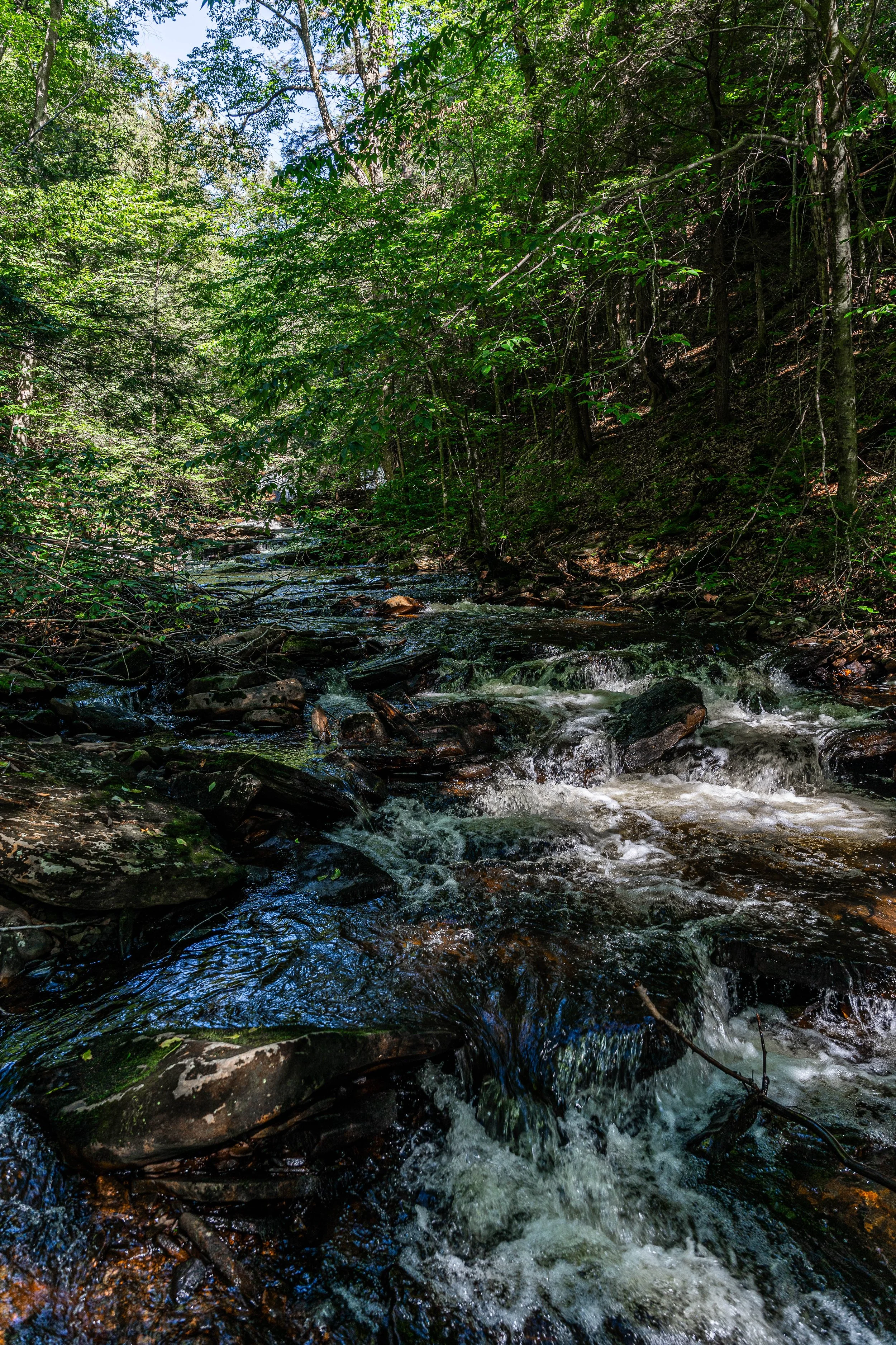 Ricketts Glen, PA; September 2023