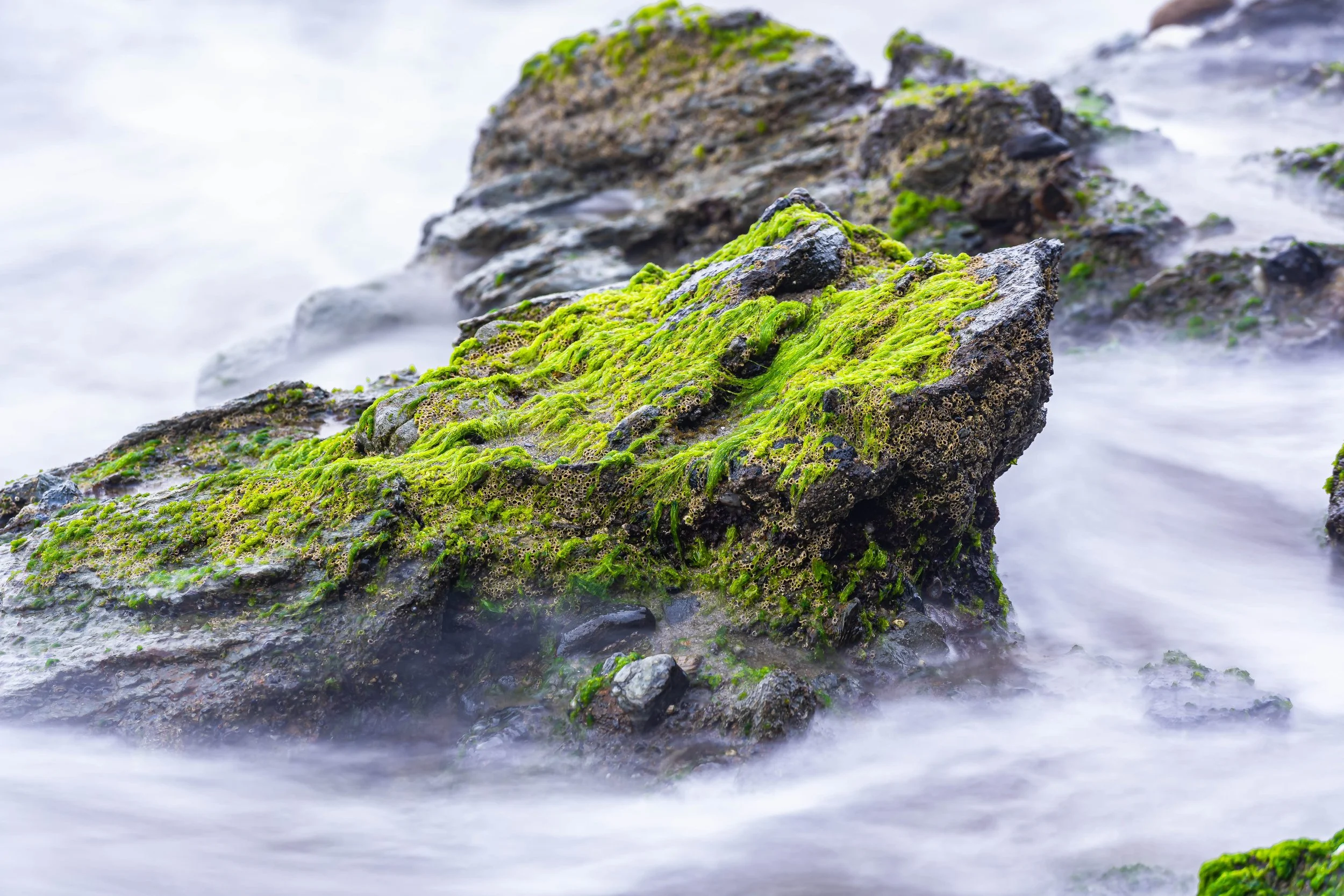 Laguna Beach, CA; August 2023