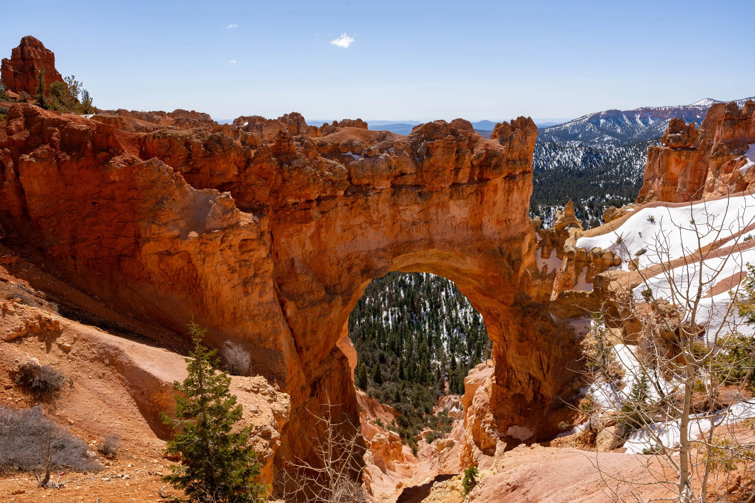 Bryce Canyon, UT; April 2024