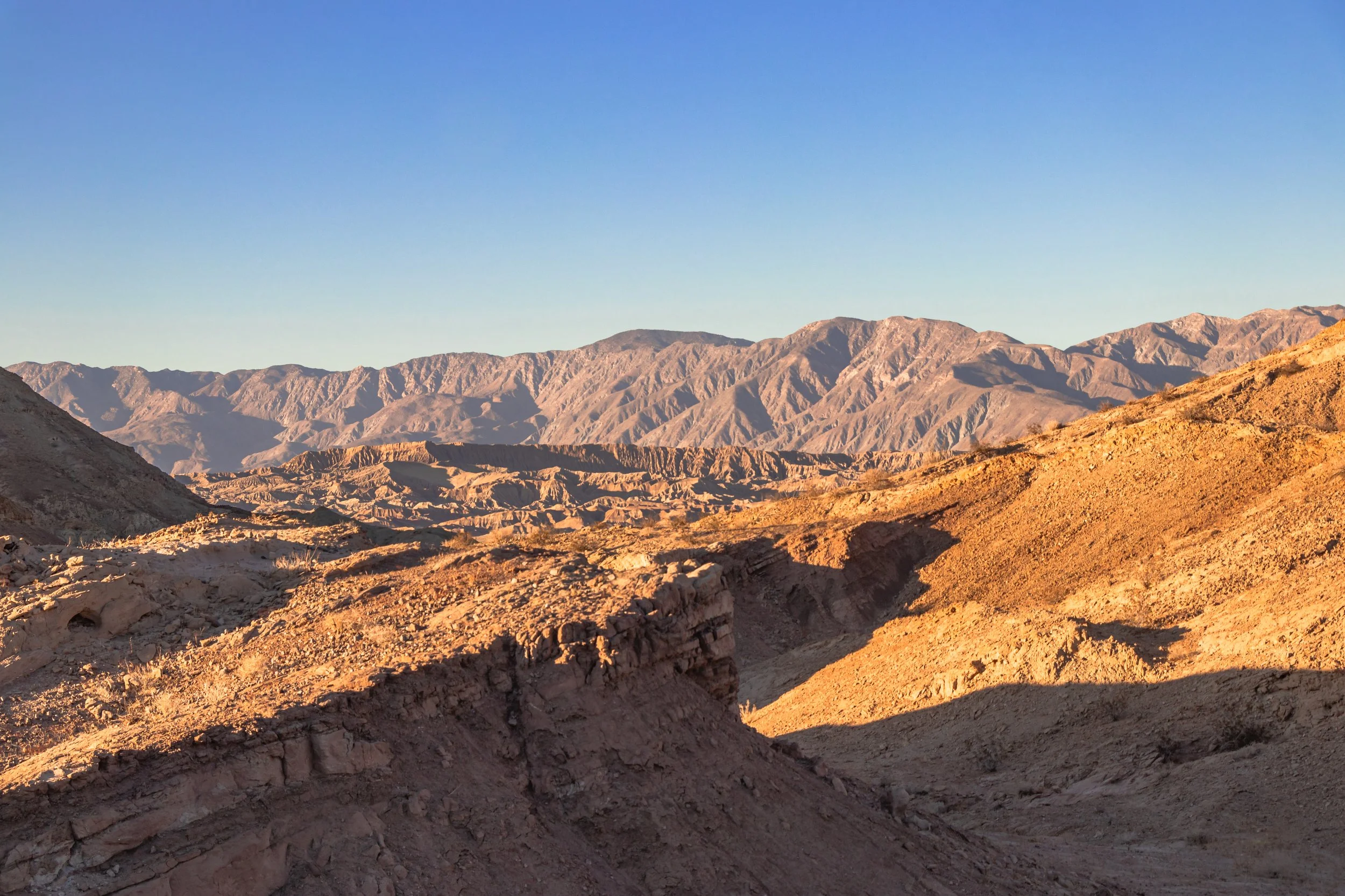 Anza-Borrego, CA; November 2019
