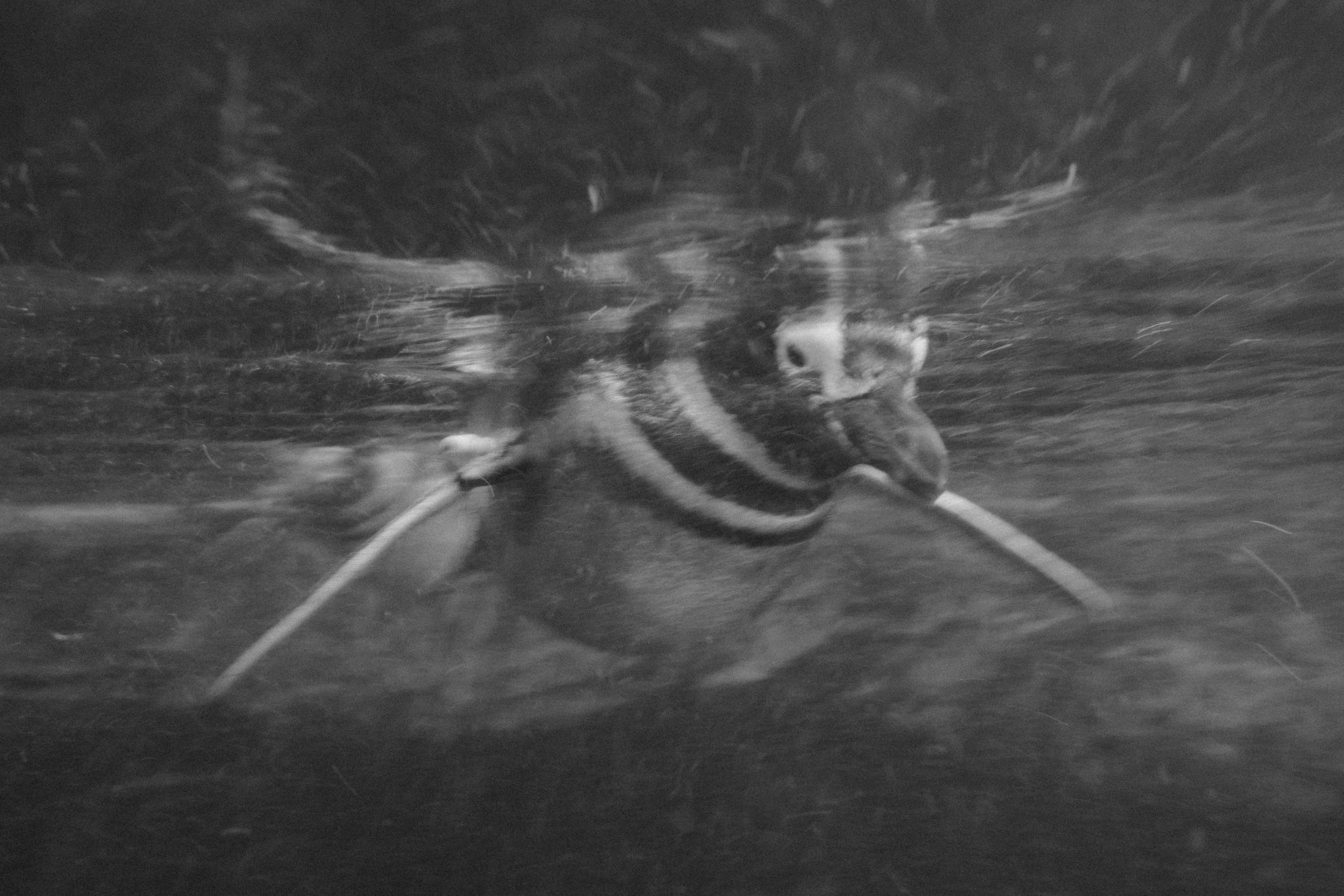 Long Beach, CA; November 2025