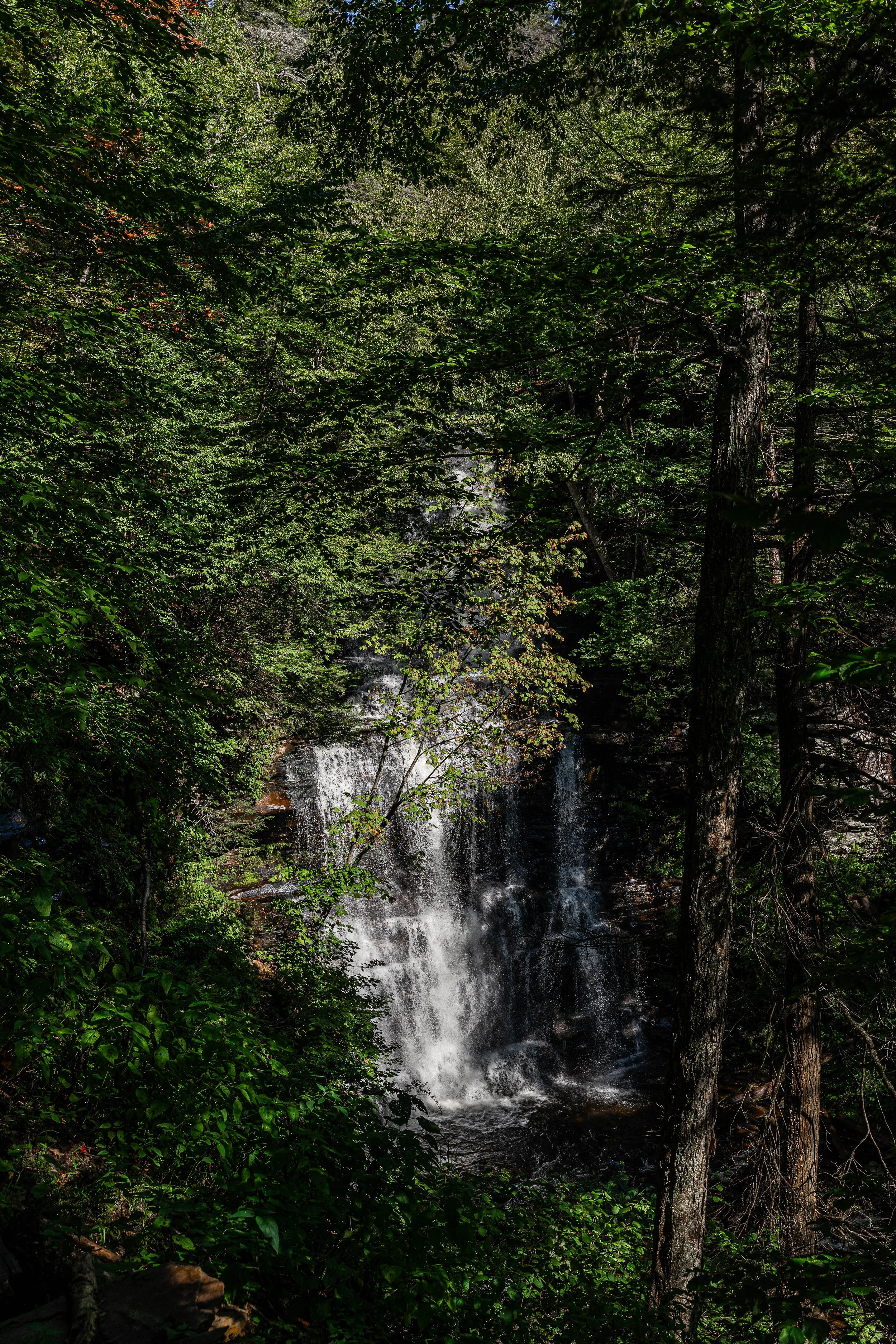 Ricketts Glen, PA; September 2023