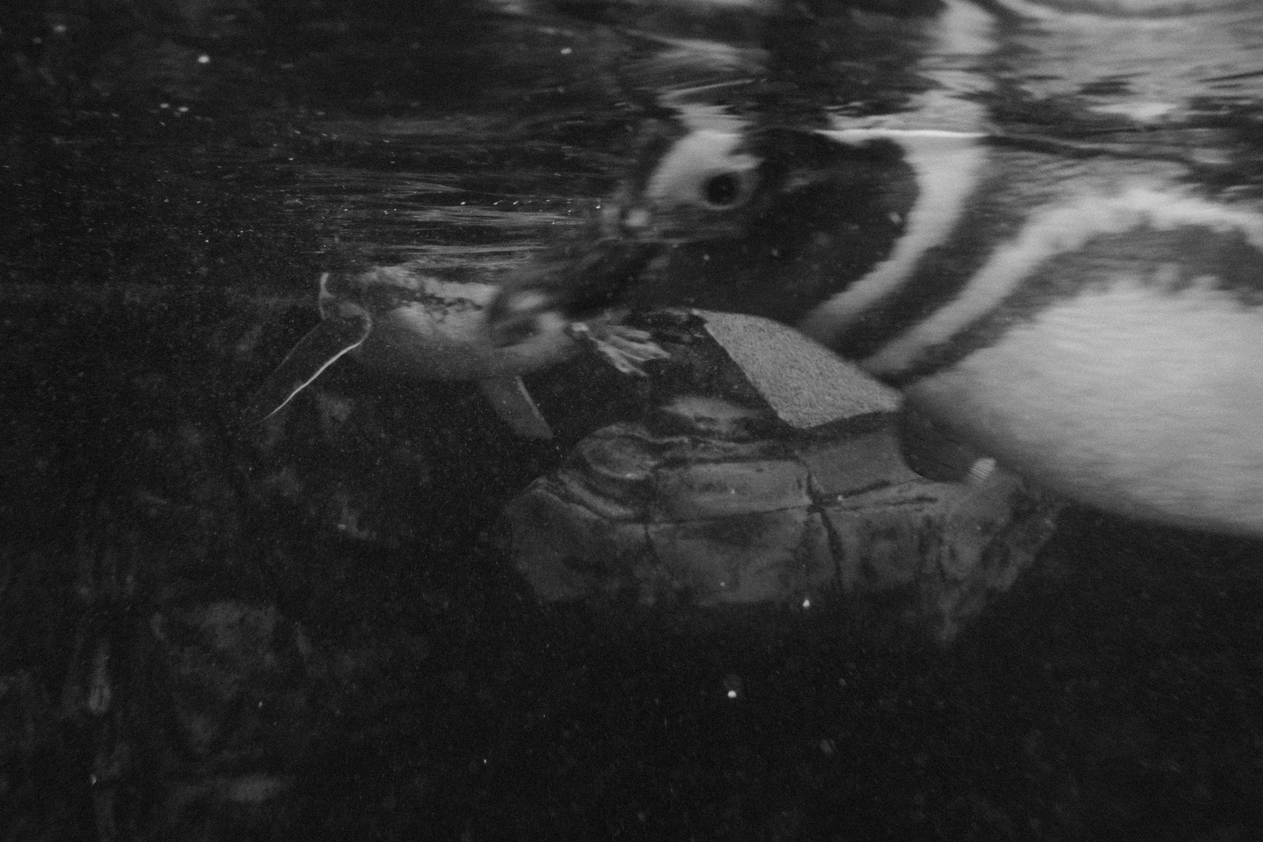 Long Beach, CA; November 2025