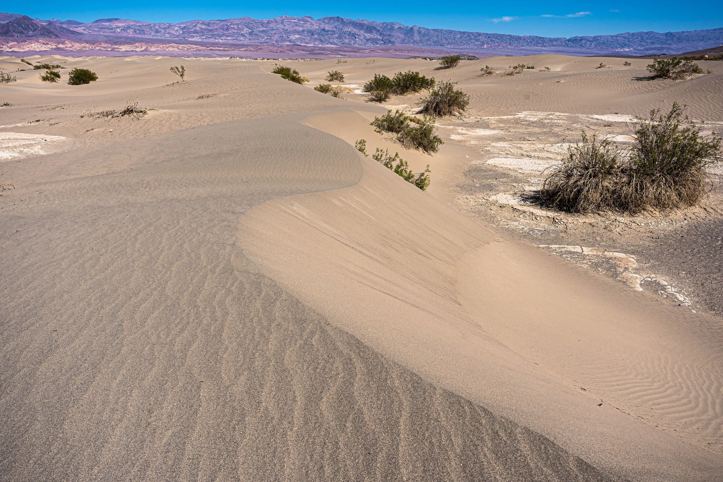 Death Valley, CA; March 2022