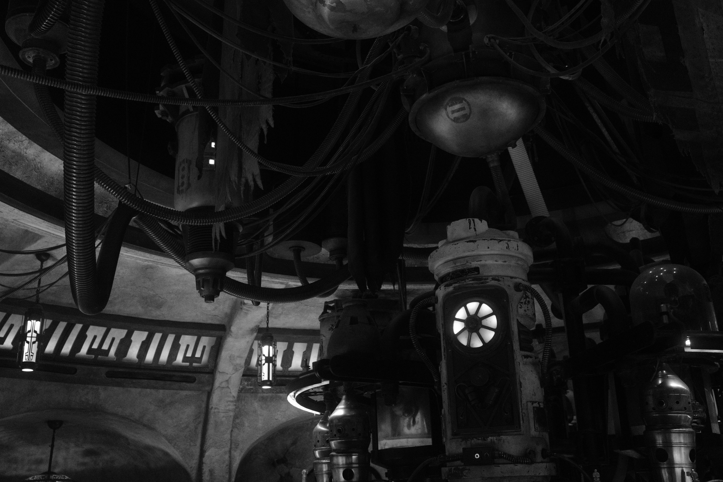 Anaheim, CA; November 2025