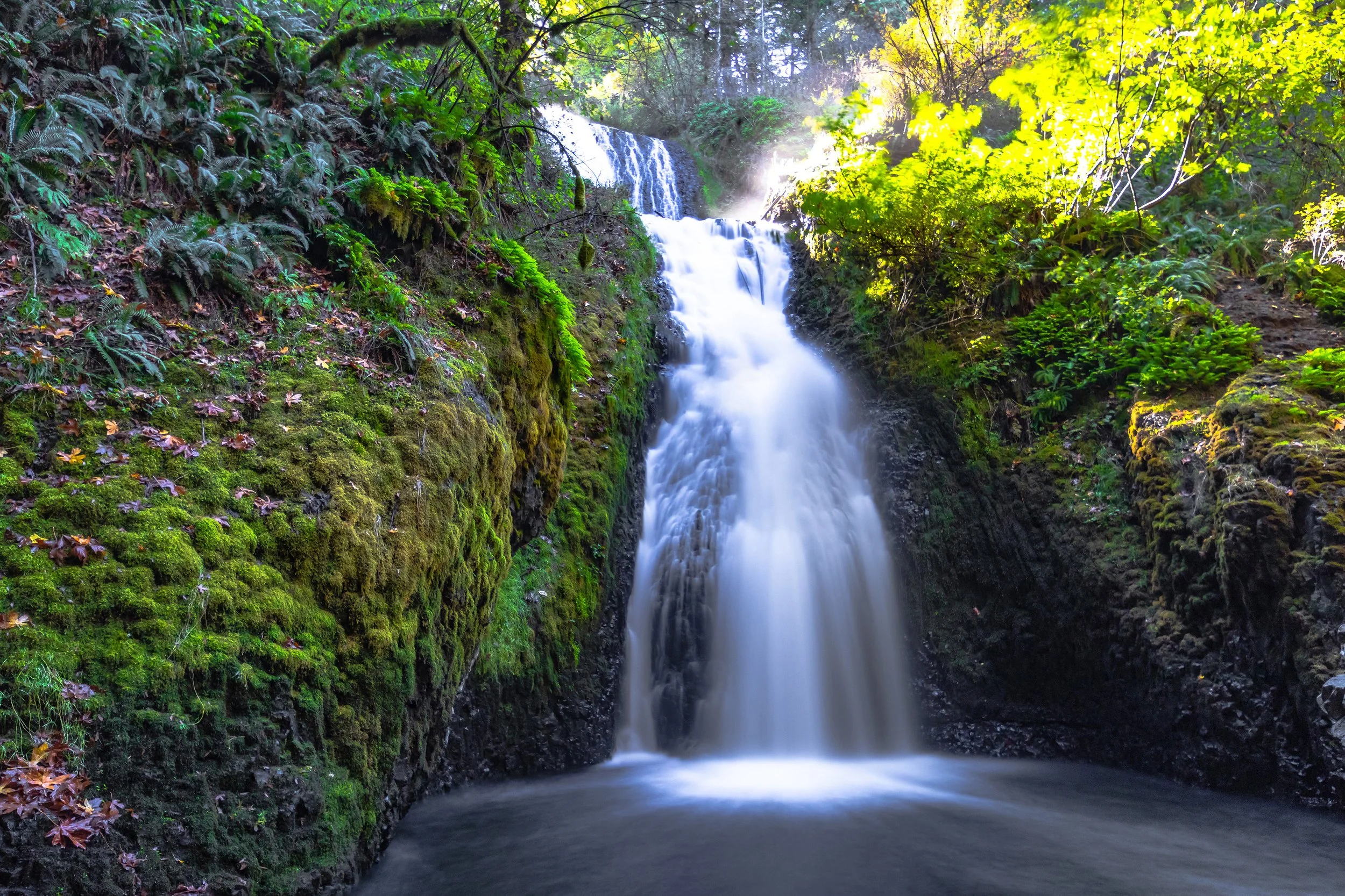 Bridal Veil, OR; October 2018