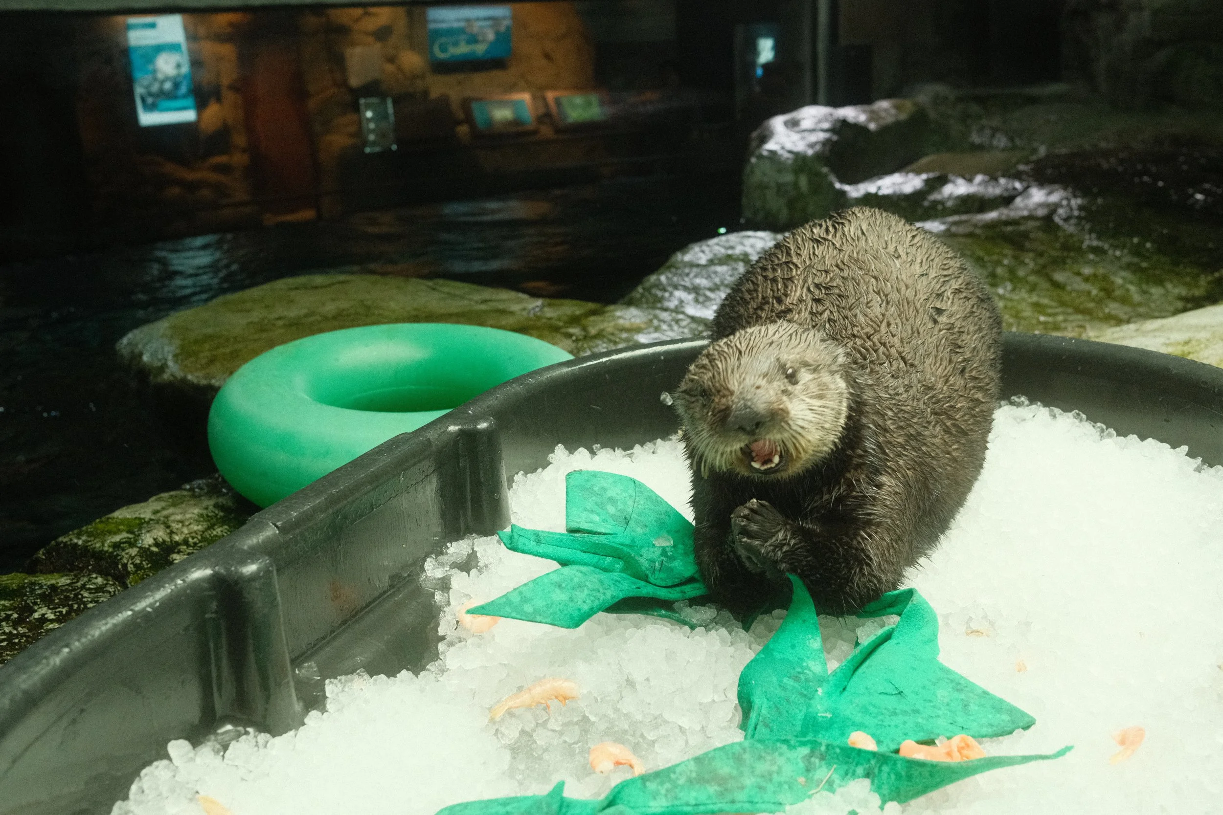 Long Beach, CA; December 2025