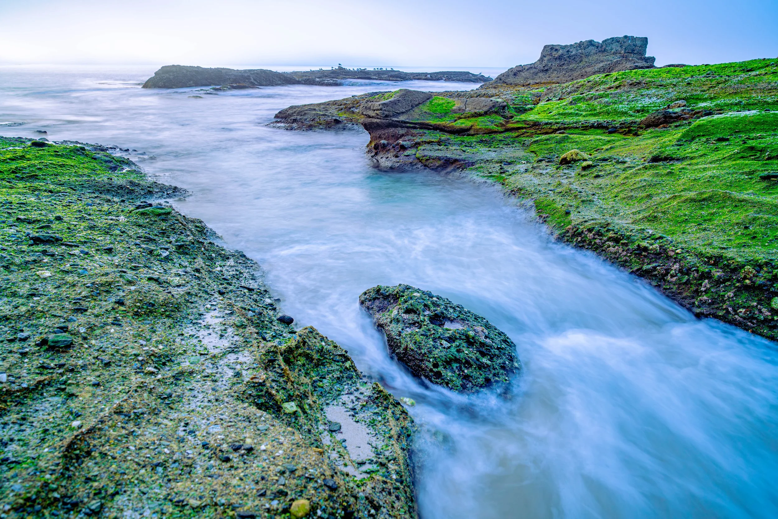 Laguna Beach, CA; February 2025