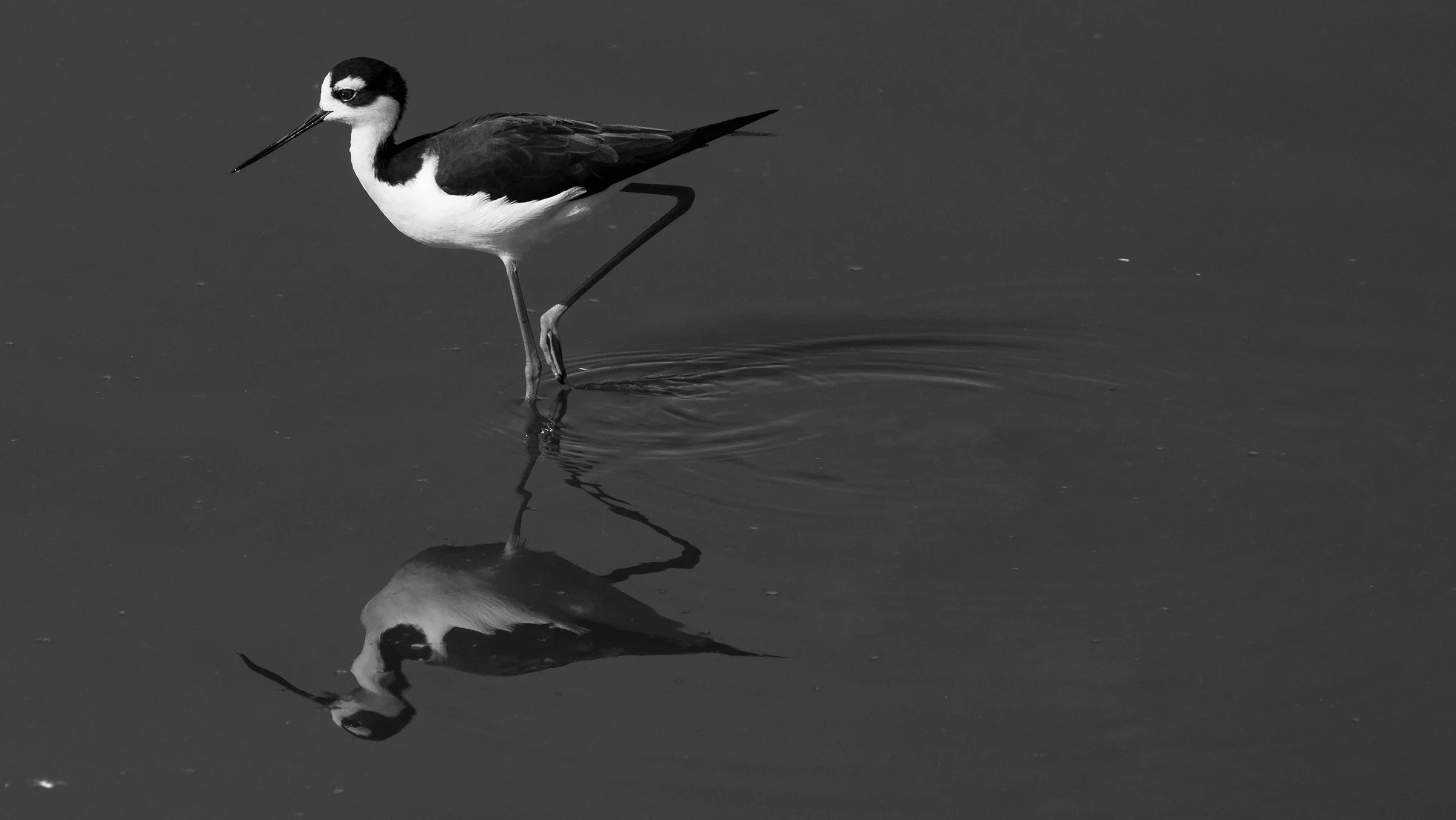 Irvine, CA; November 2017