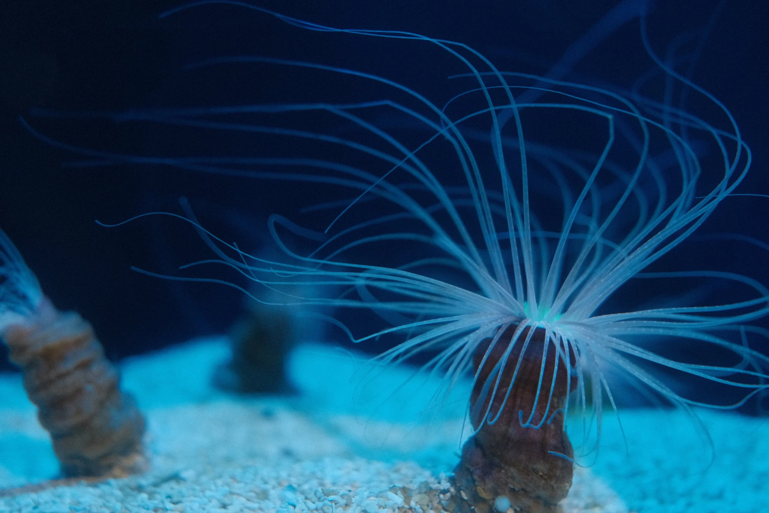 Long Beach, CA; December 2025