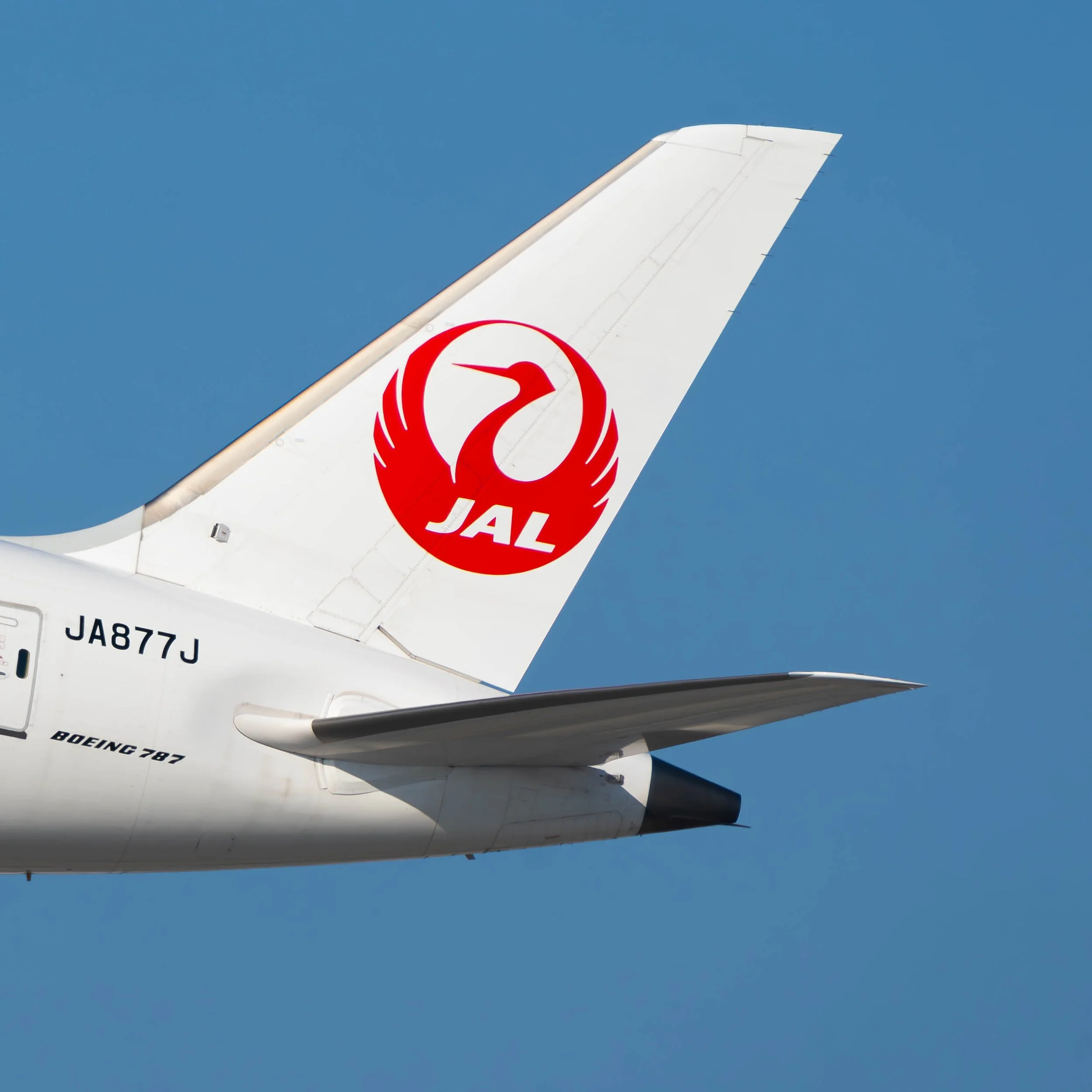 Japan Airlines Boeing 787-8