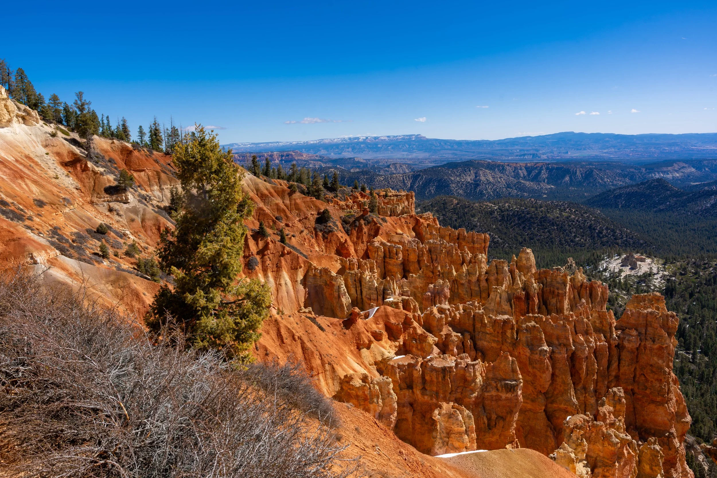 Bryce Canyon, UT; April 2024