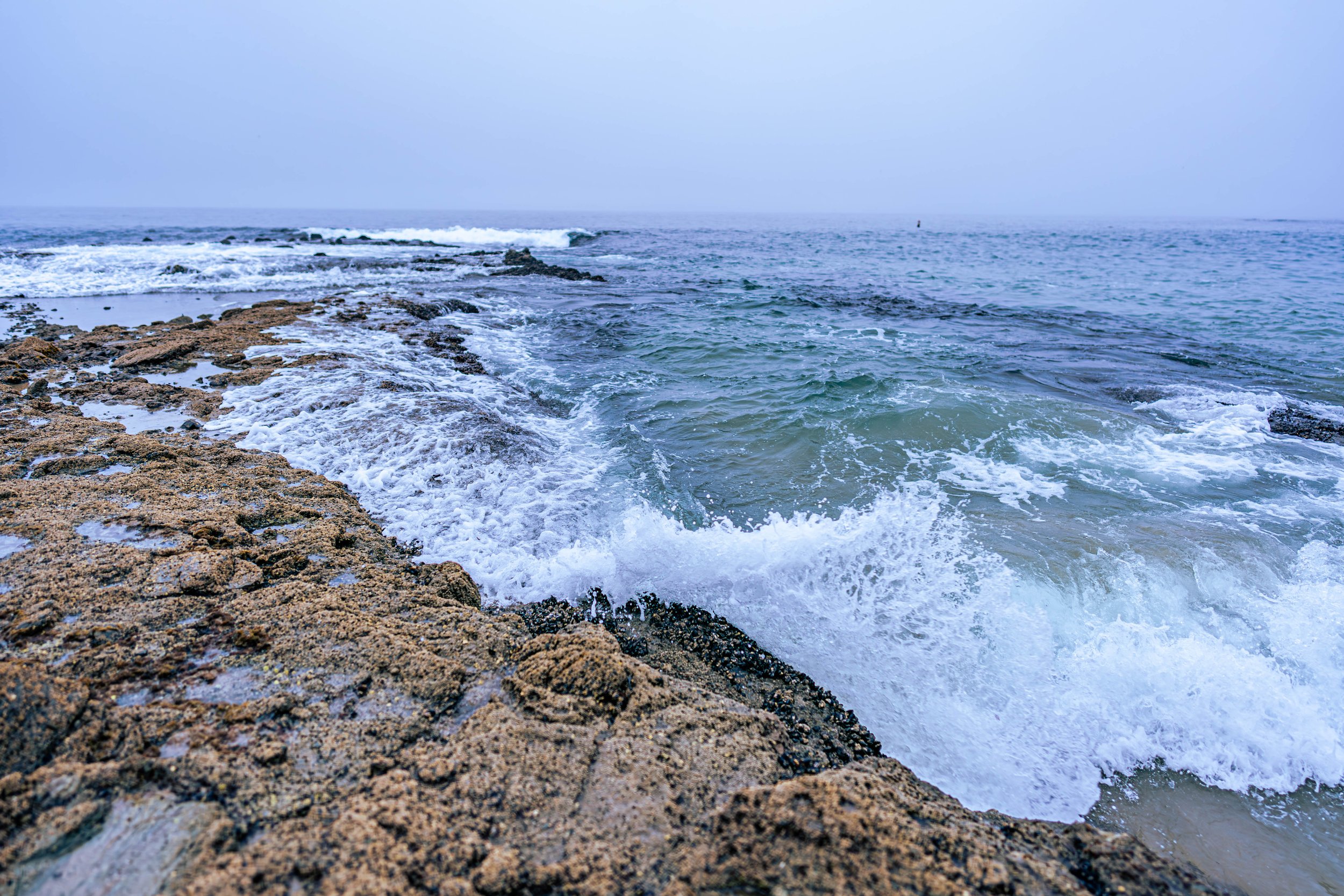 Corona del Mar, CA; October 2024