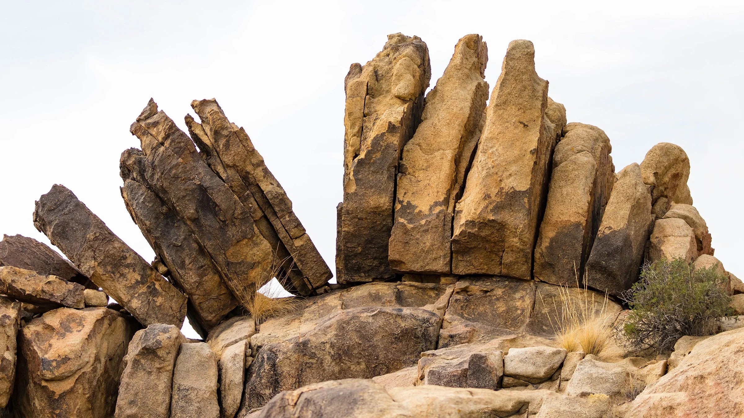 Joshua Tree, CA; November 2017