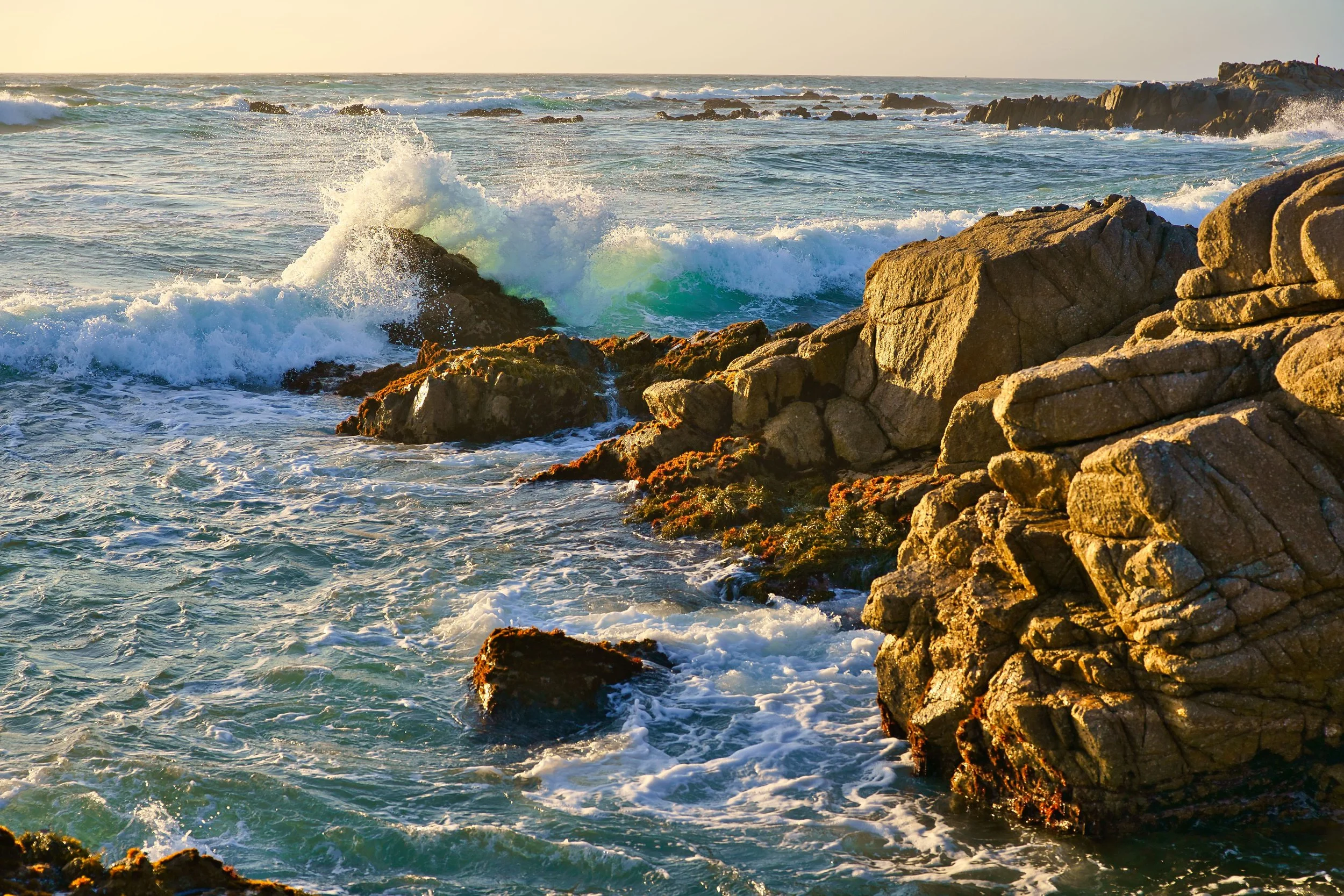 Asilomar, CA; June 2022