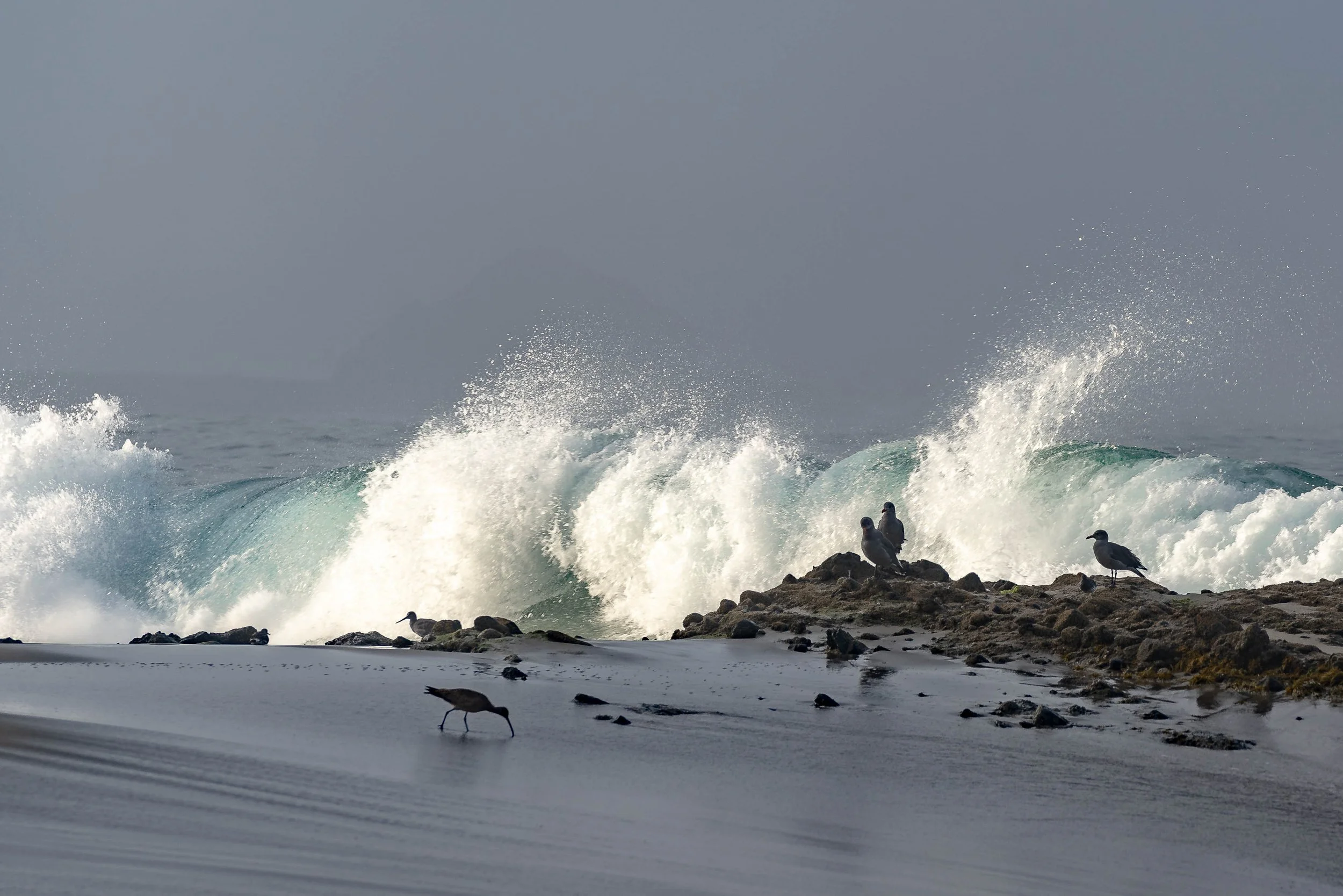 Laguna Beach, CA; August 2023
