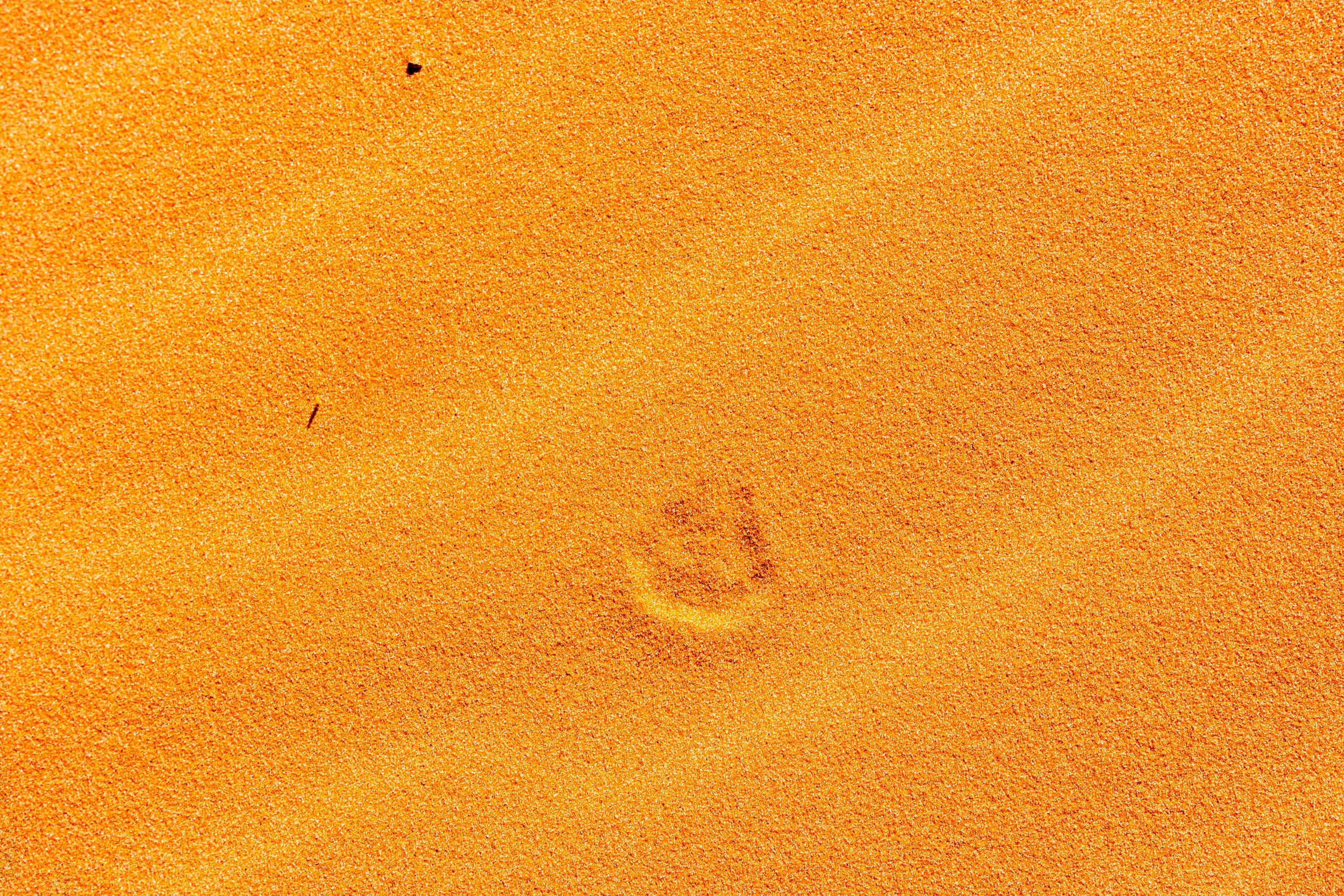 Kanab, UT; April 2024